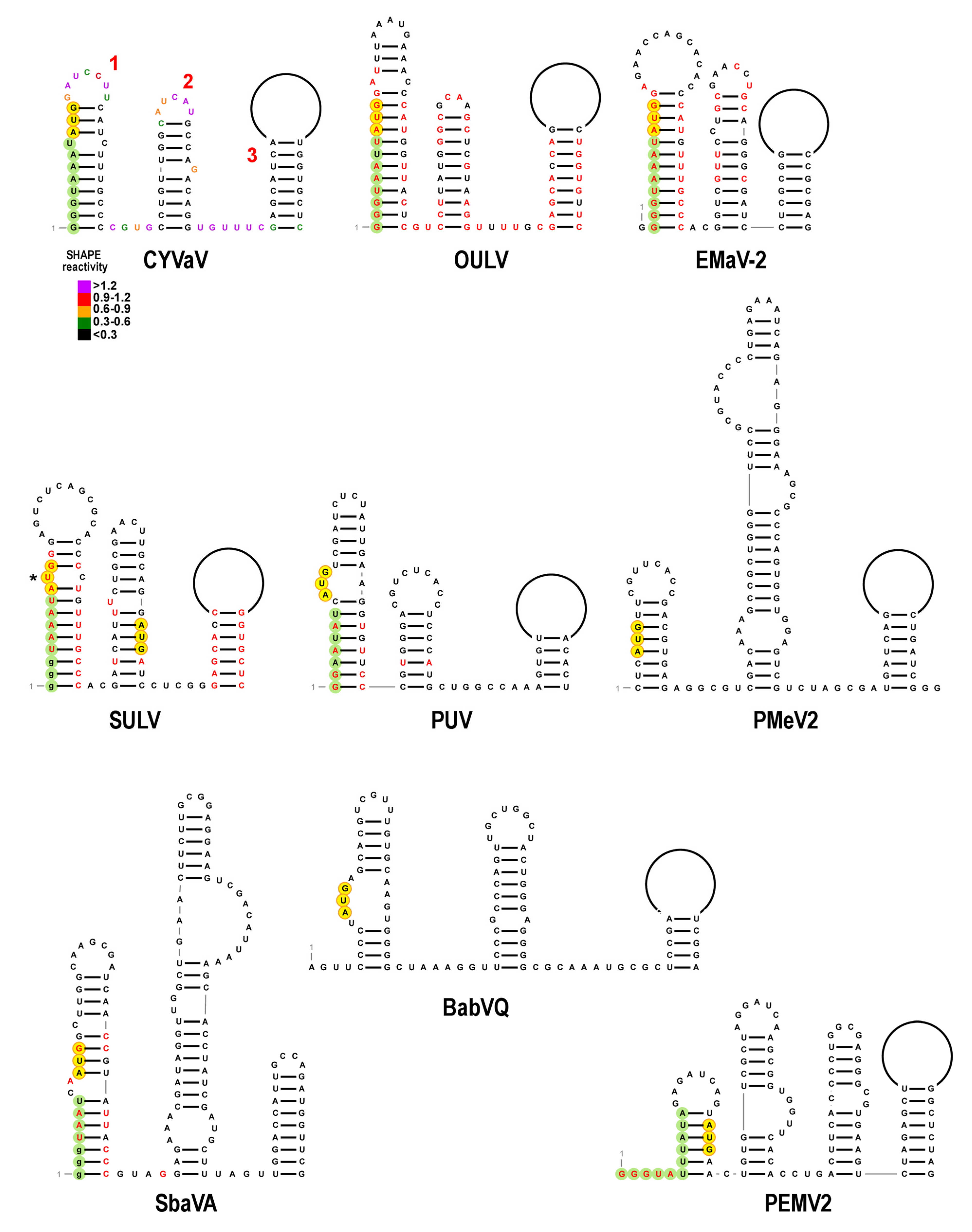 Viruses 13 00646 g005