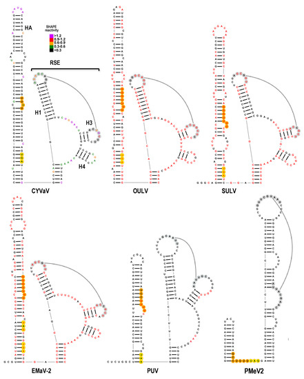 Viruses 13 00646 g007
