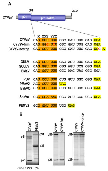 Viruses 13 00646 g008