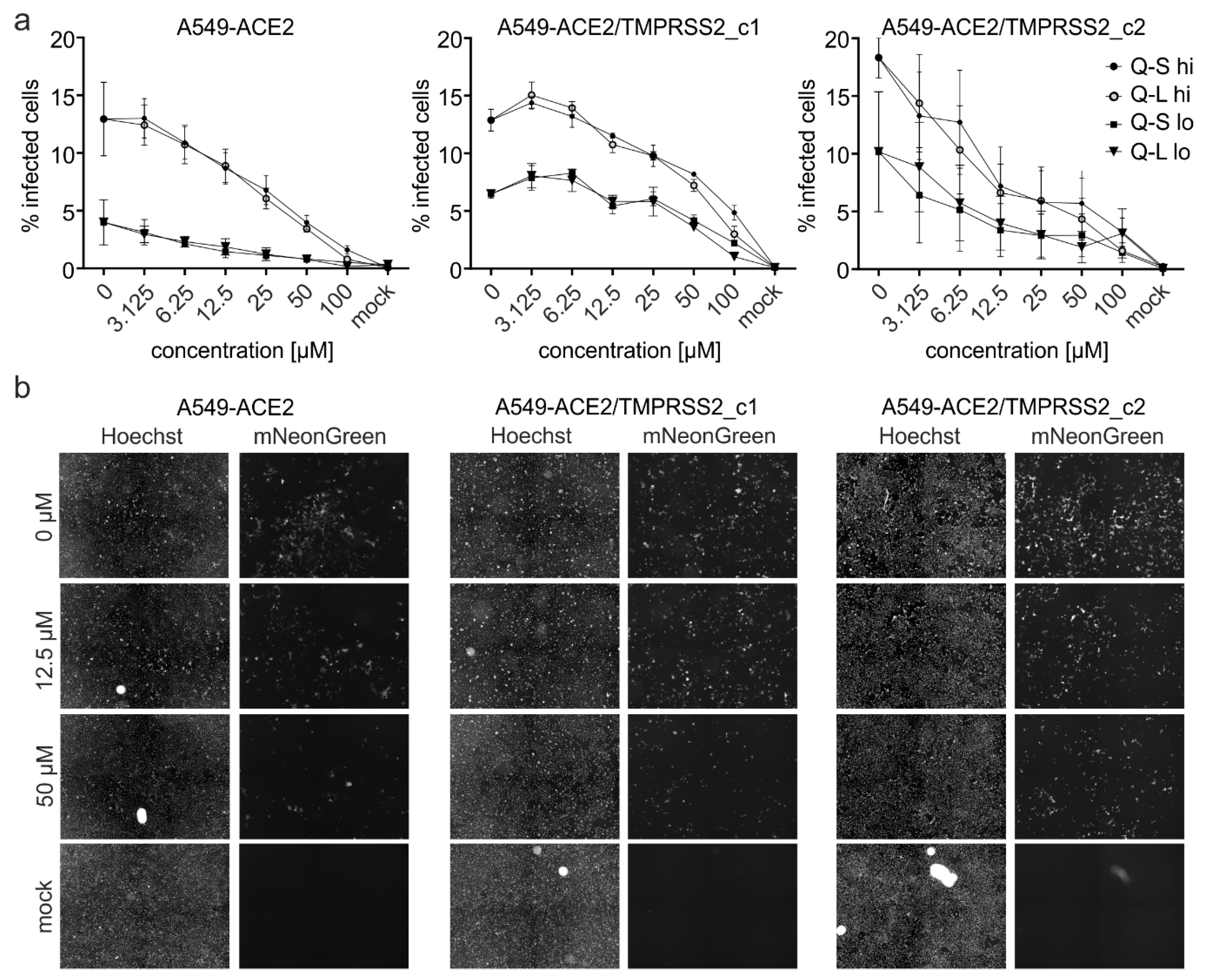 Viruses 13 00647 g006