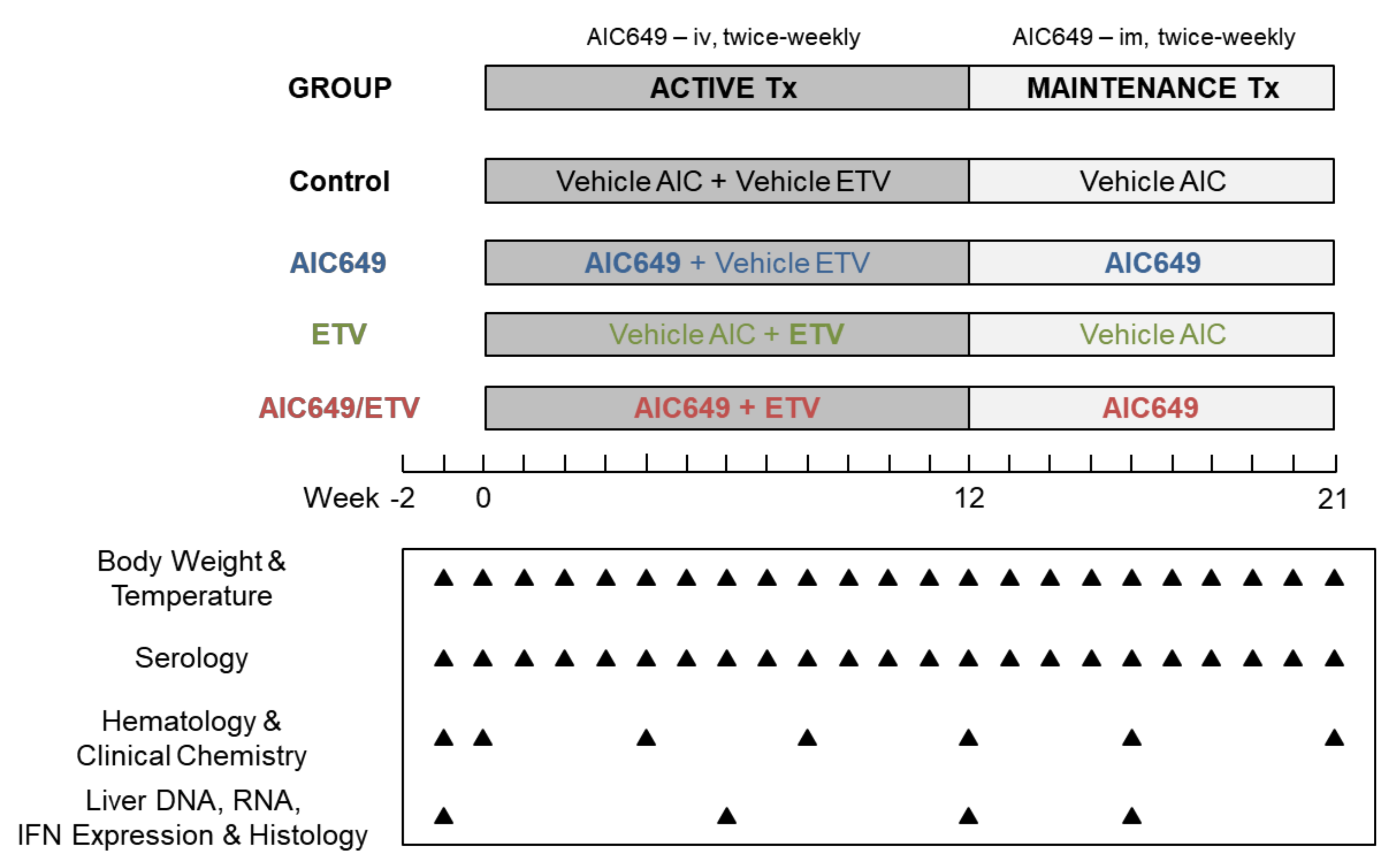 Viruses 13 00648 g001
