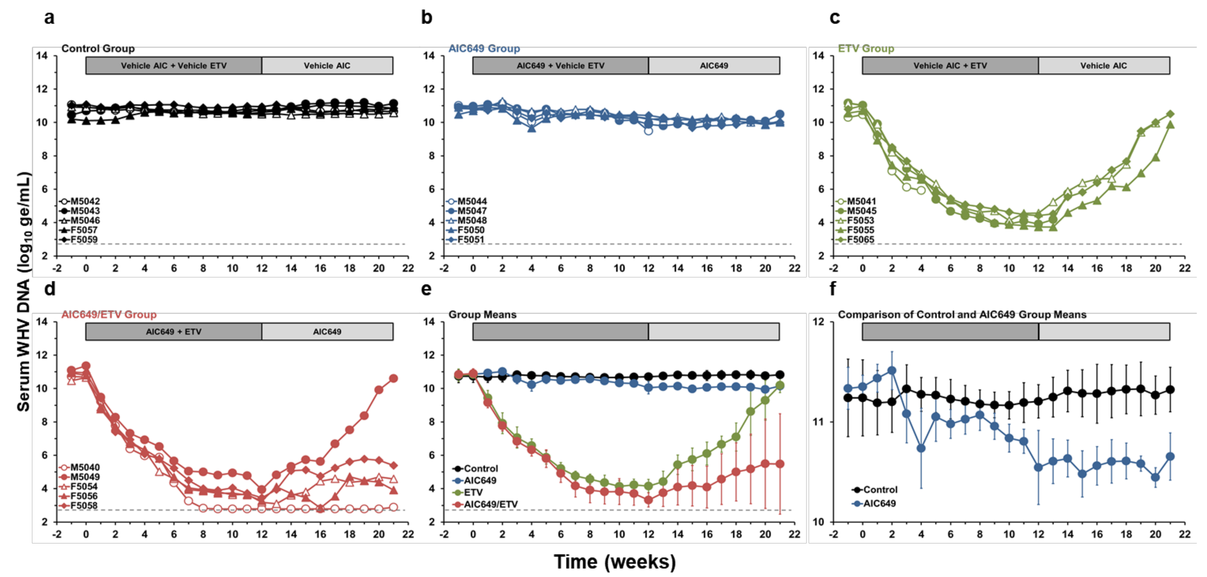 Viruses 13 00648 g002