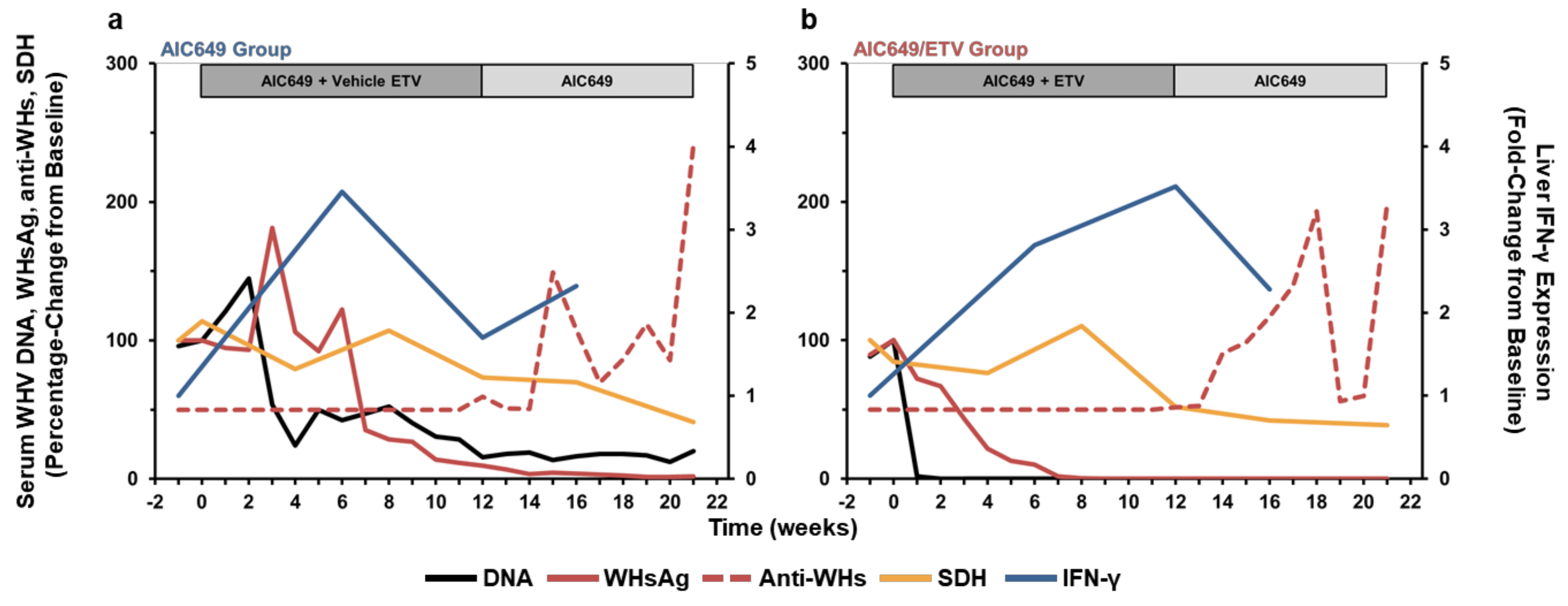 Viruses 13 00648 g008