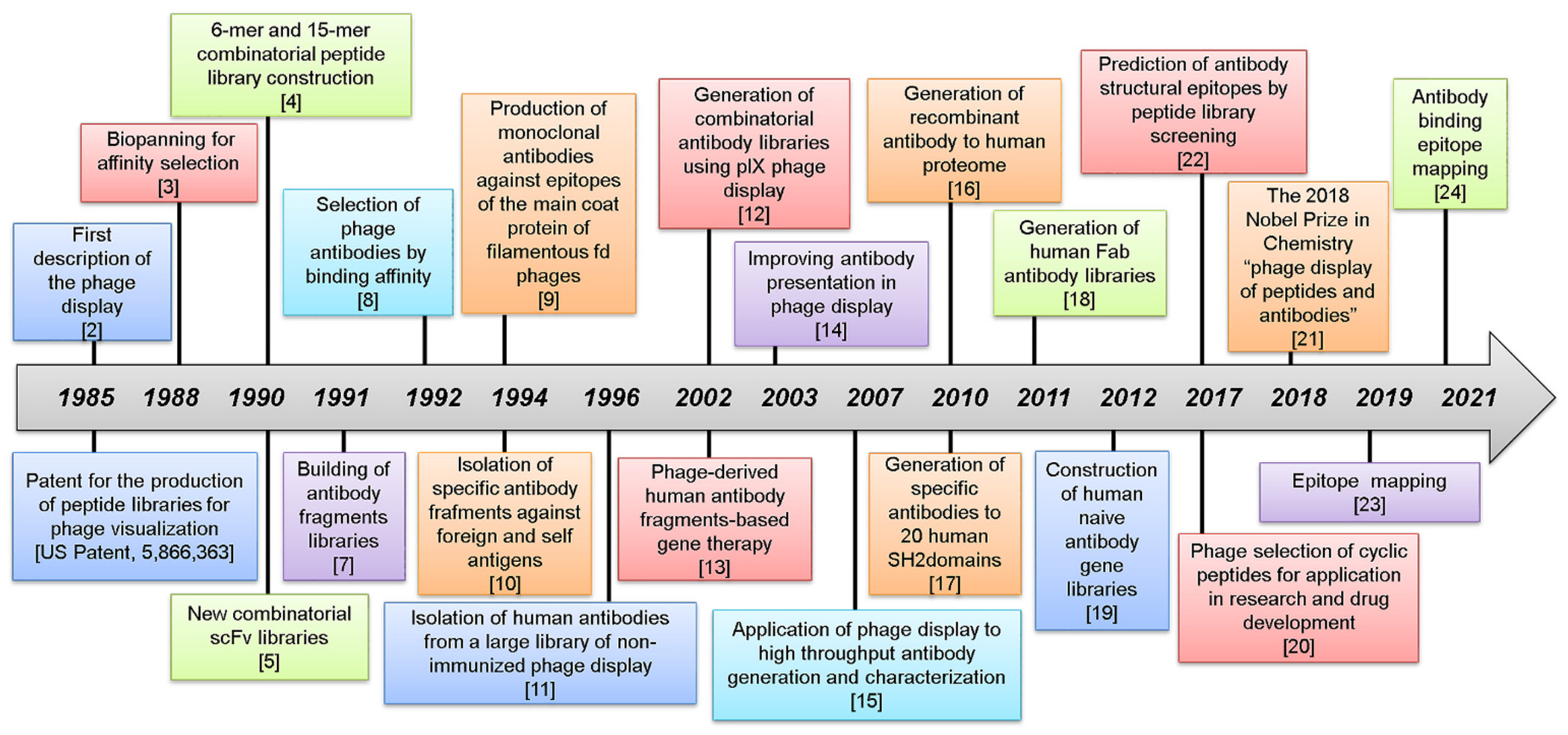 Viruses 13 00649 g001