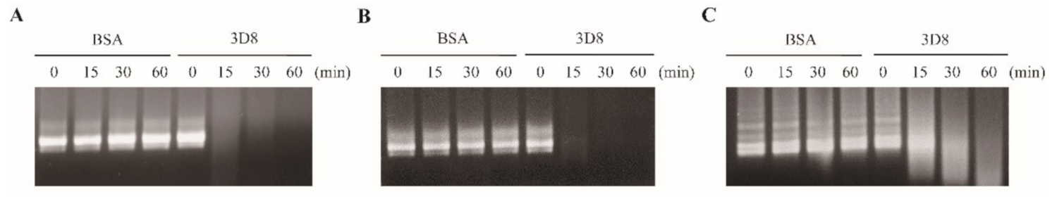Viruses 13 00650 g001 Viruses 13 00650 g001