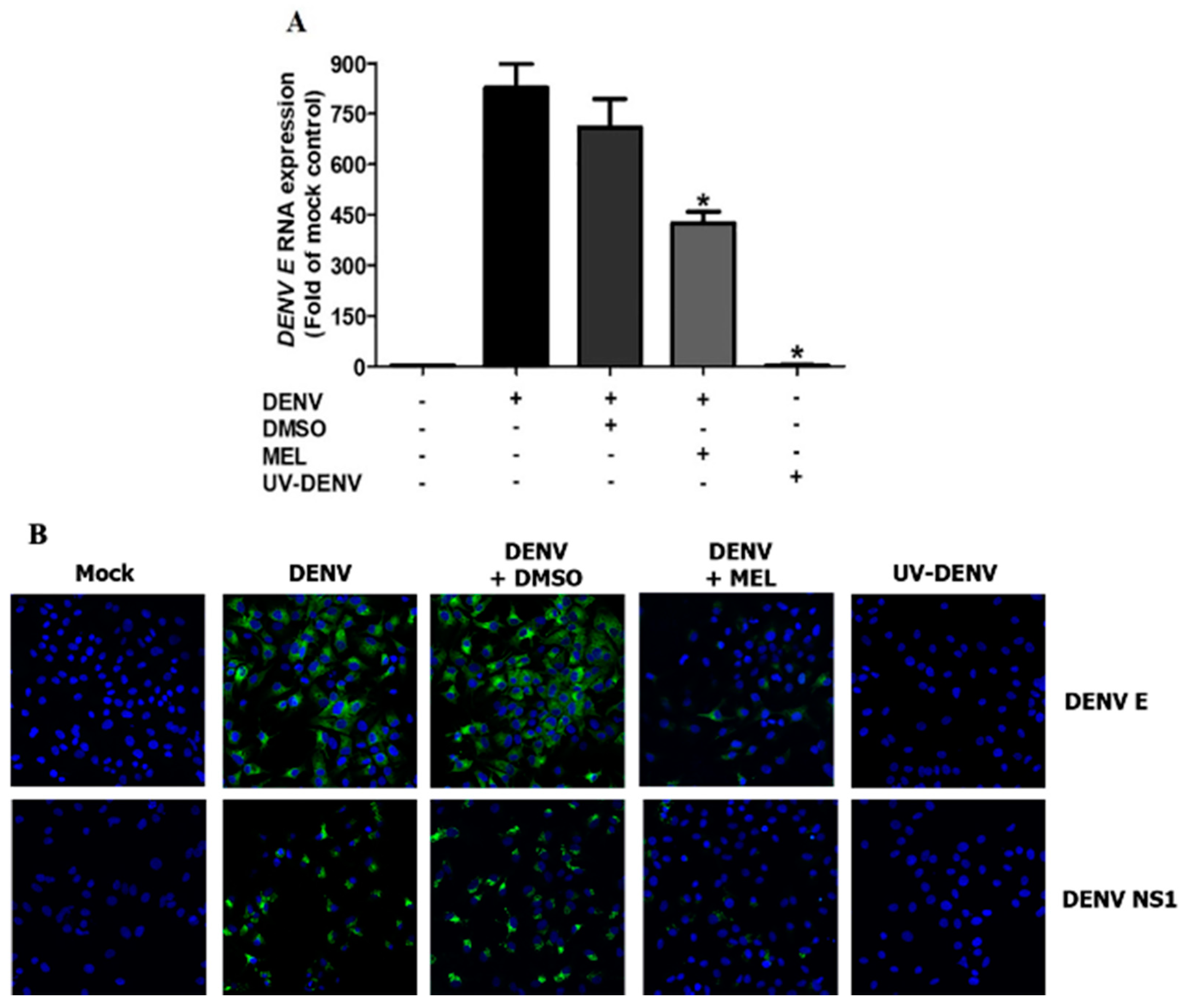 Viruses 13 00659 g005