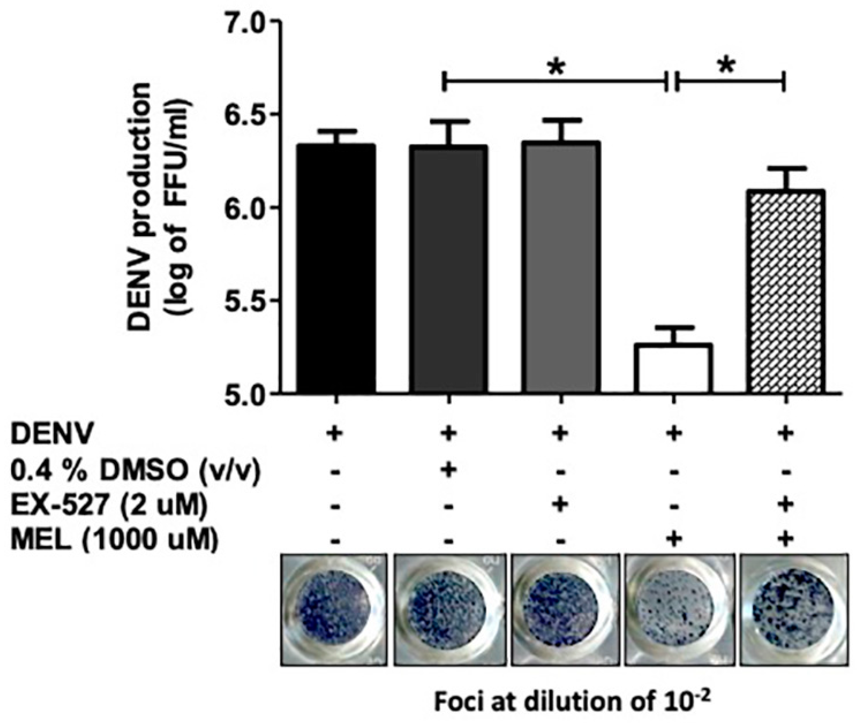 Viruses 13 00659 g006