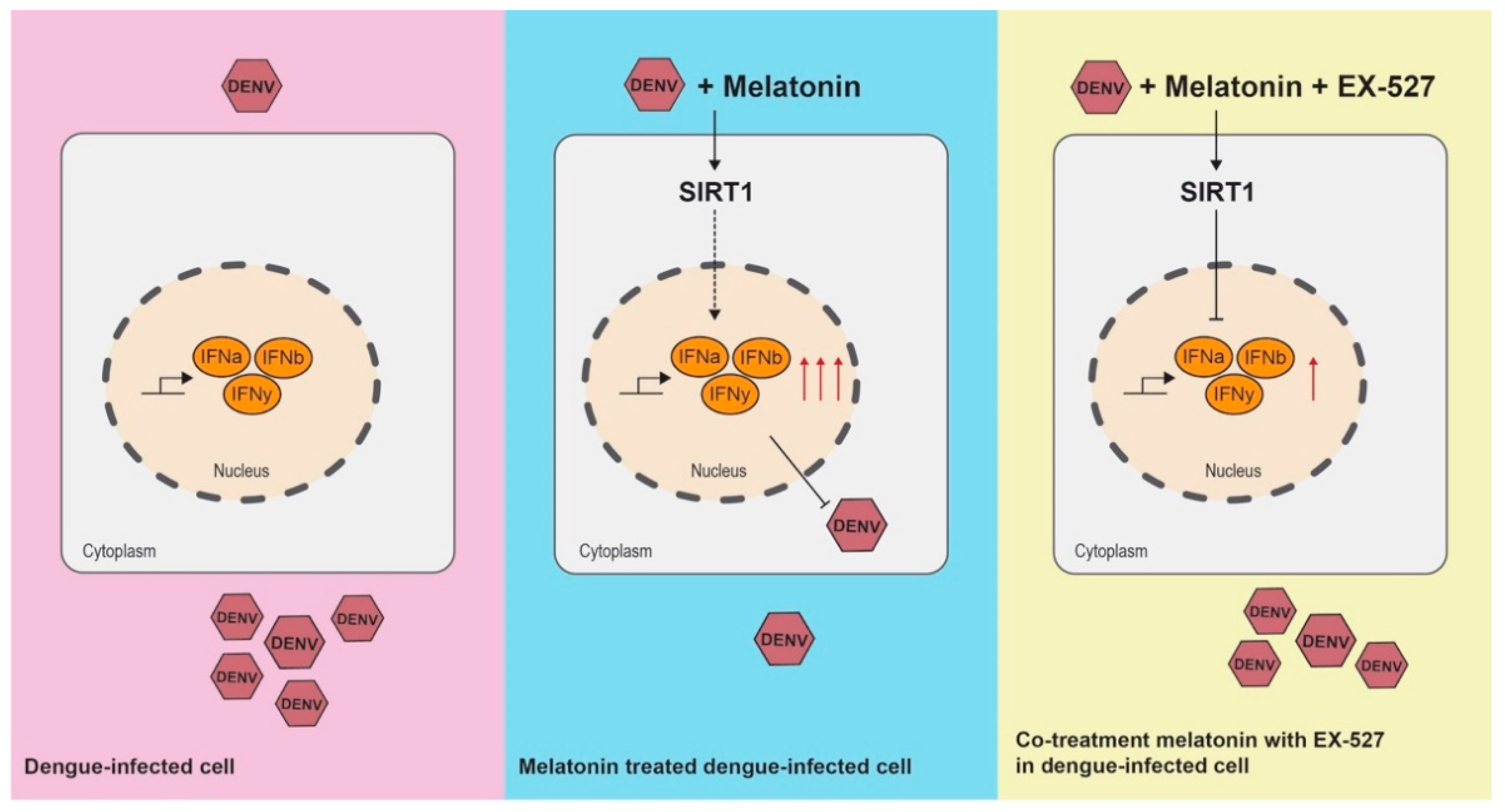 Viruses 13 00659 g008