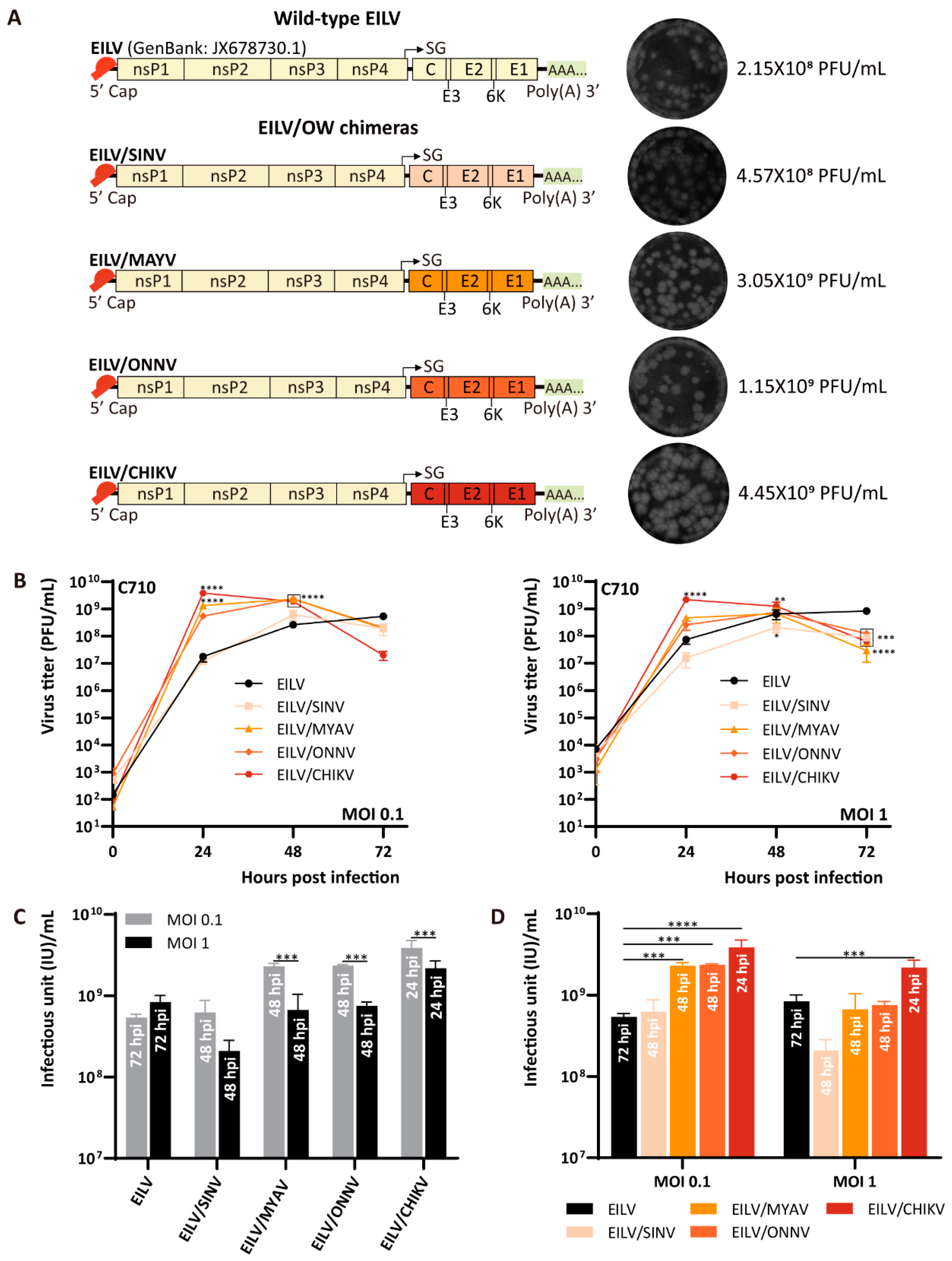 Viruses 13 00660 g001