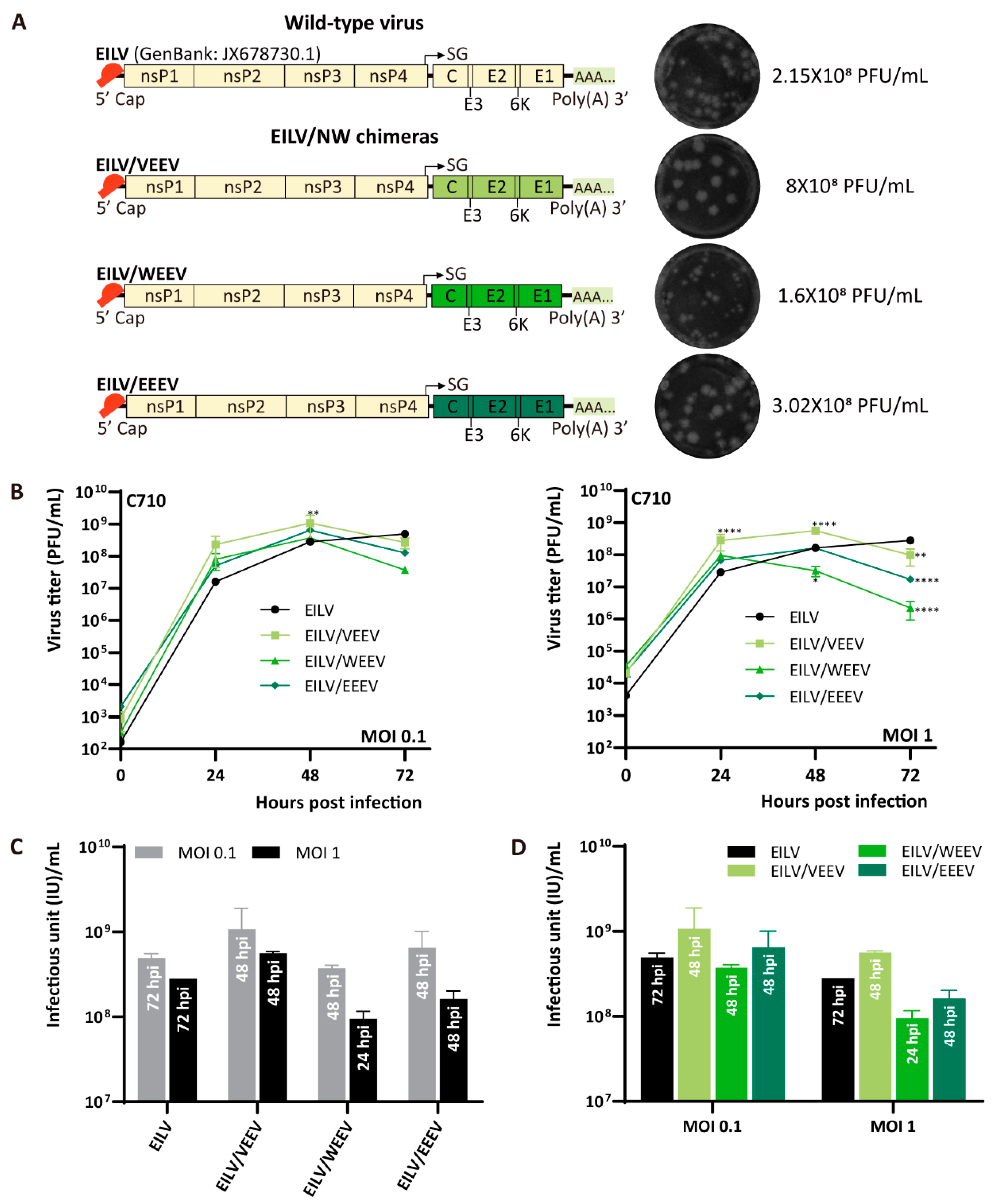 Viruses 13 00660 g002