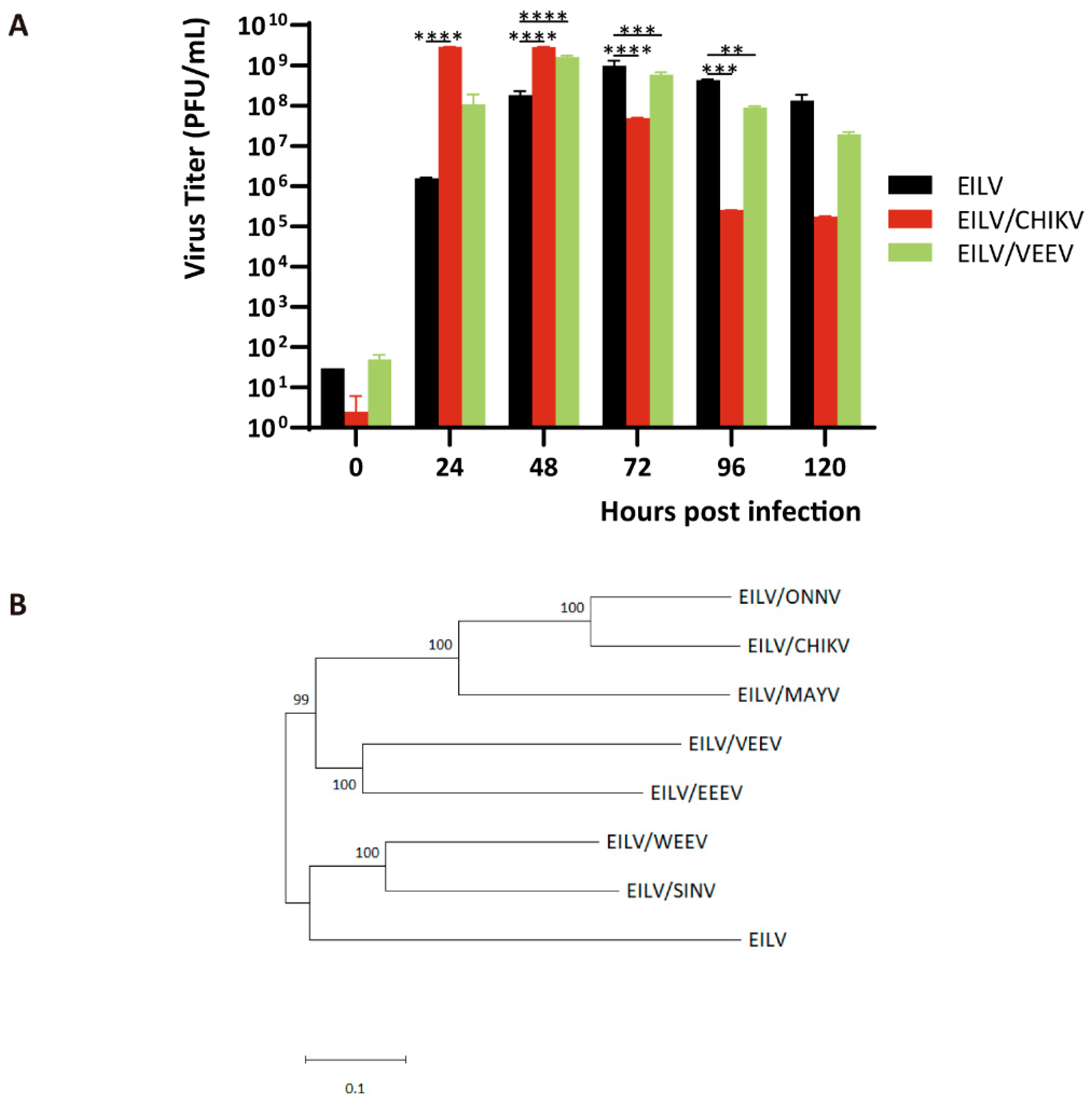 Viruses 13 00660 g003