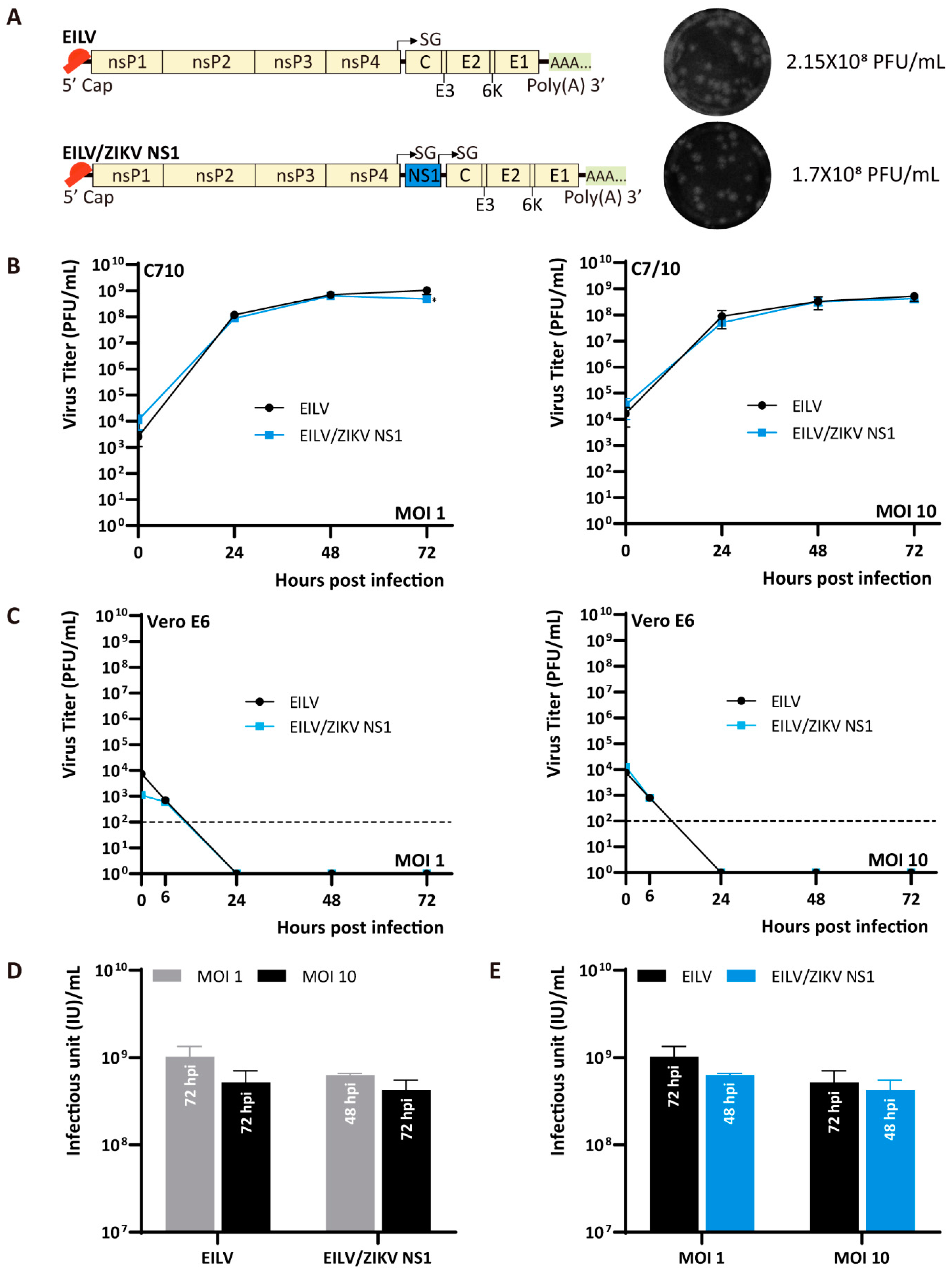 Viruses 13 00660 g004