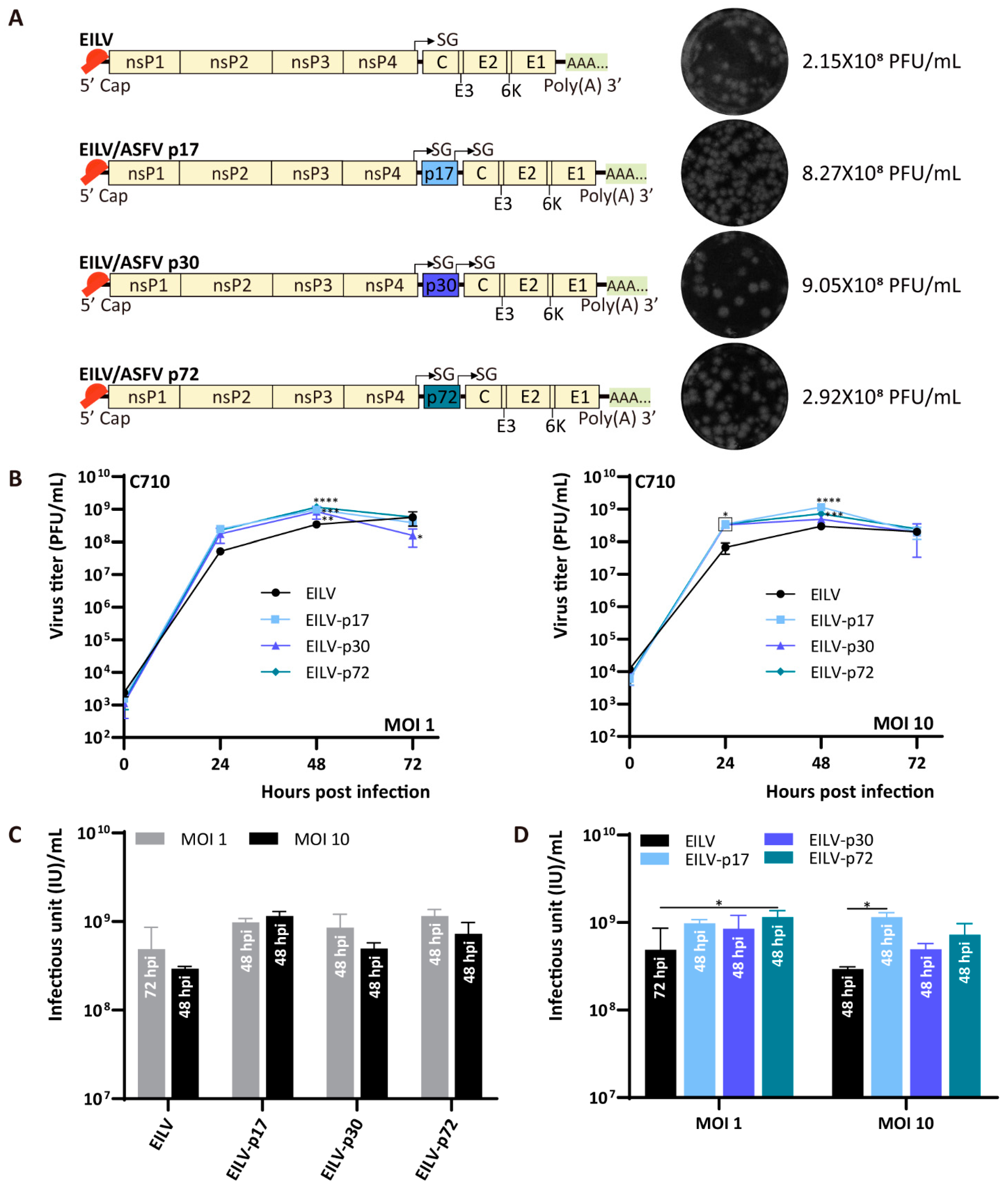 Viruses 13 00660 g005