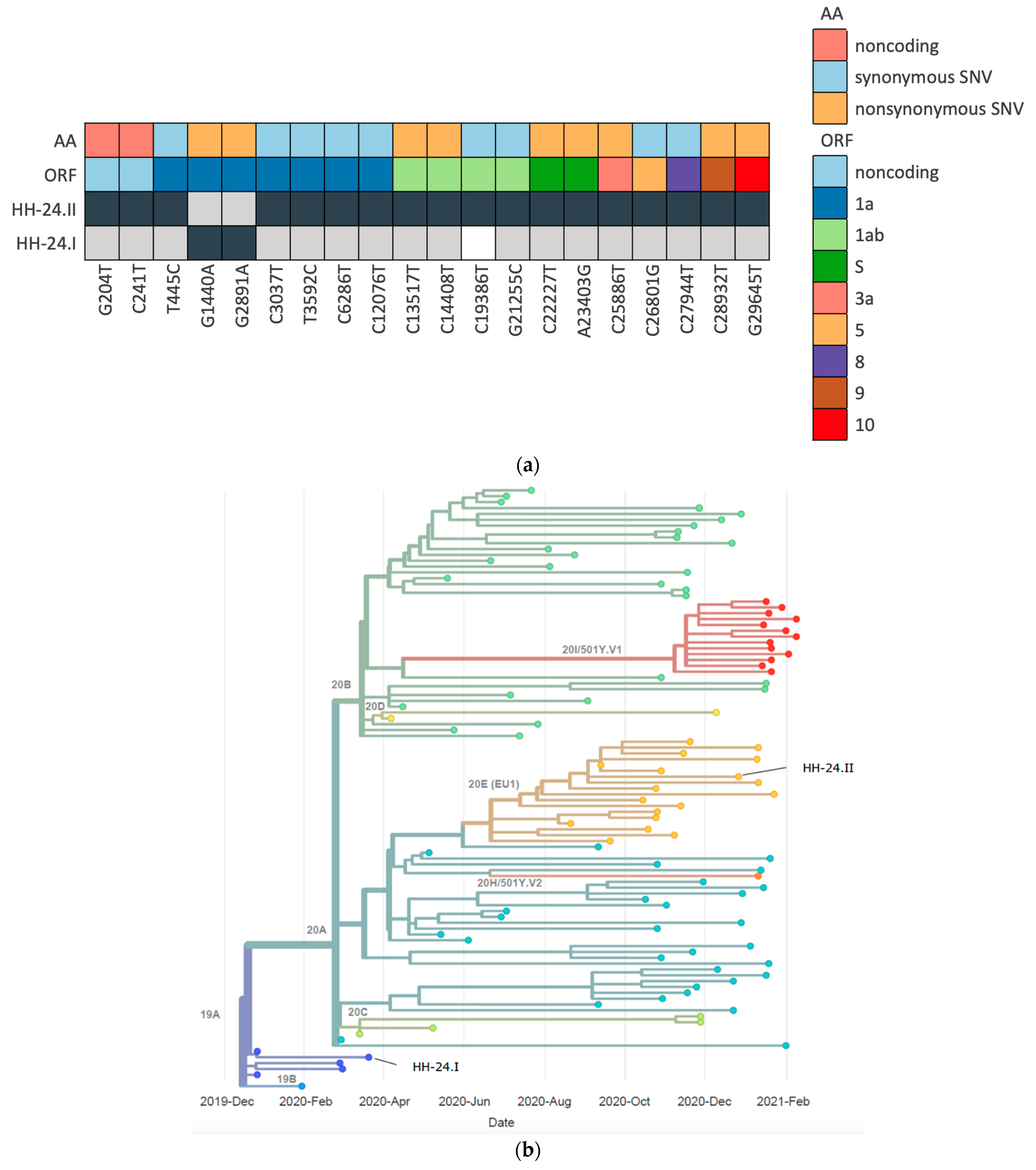 Viruses 13 00661 g003