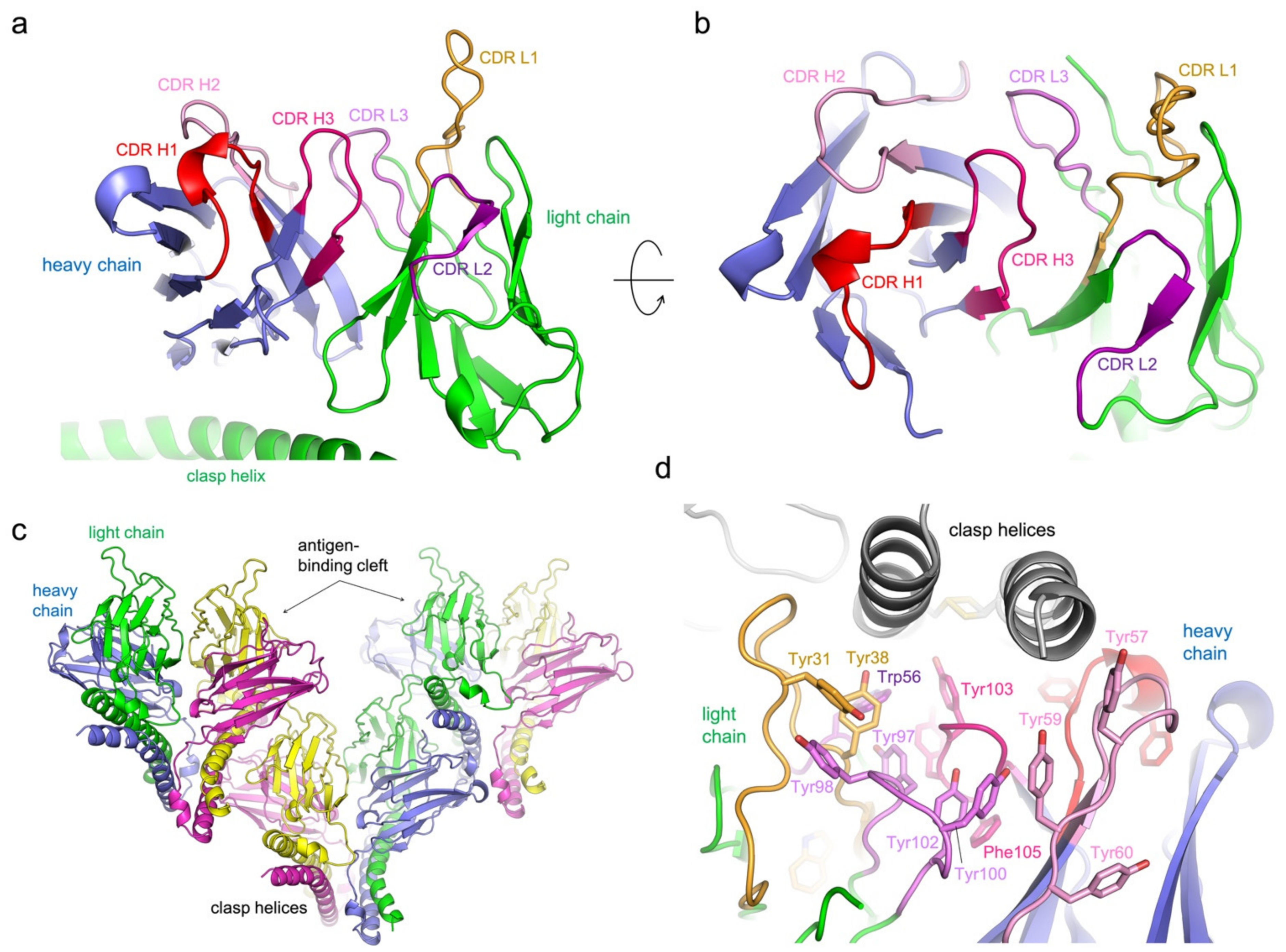 Viruses 13 00663 g003