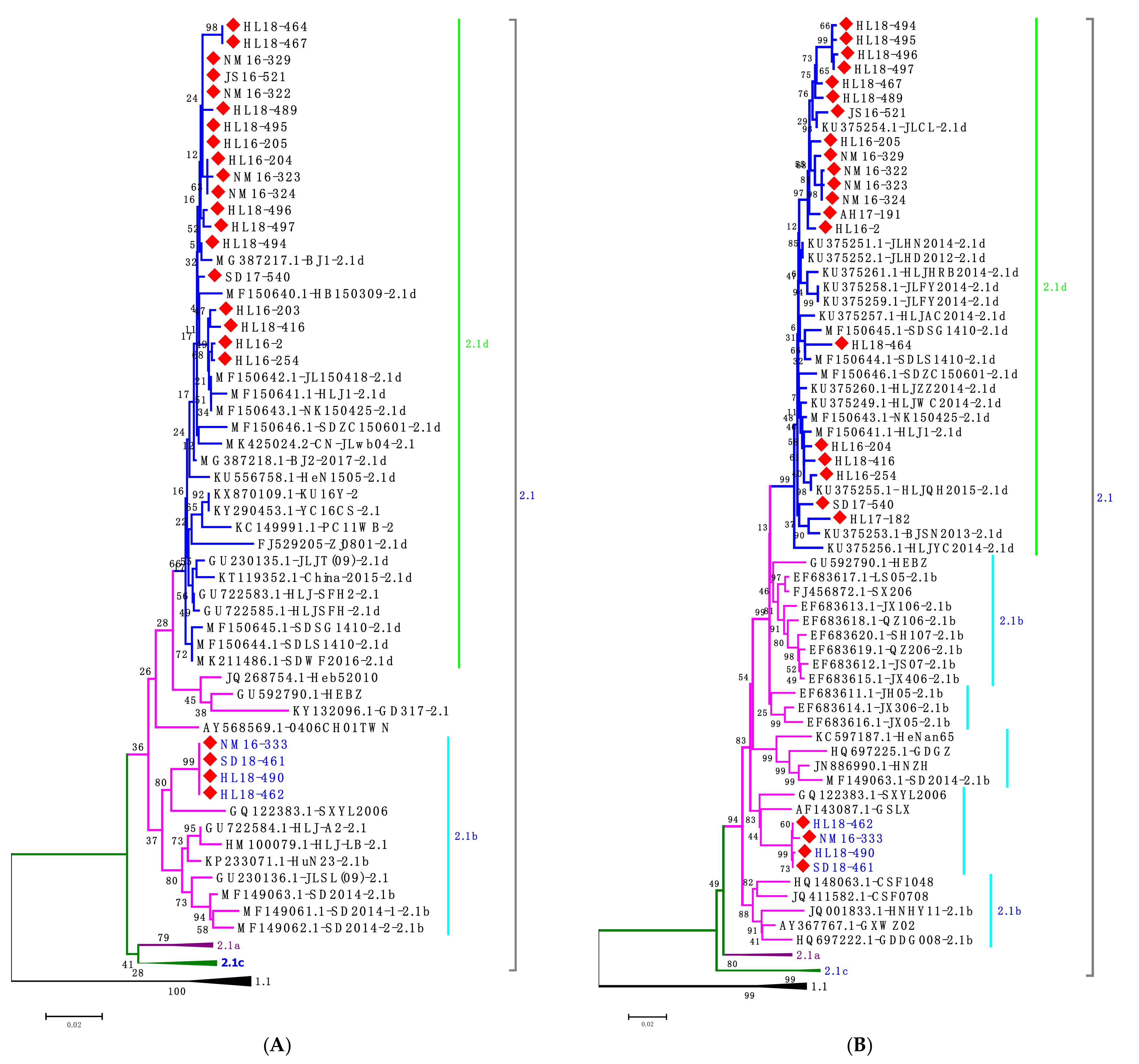 Viruses 13 00664 g002
