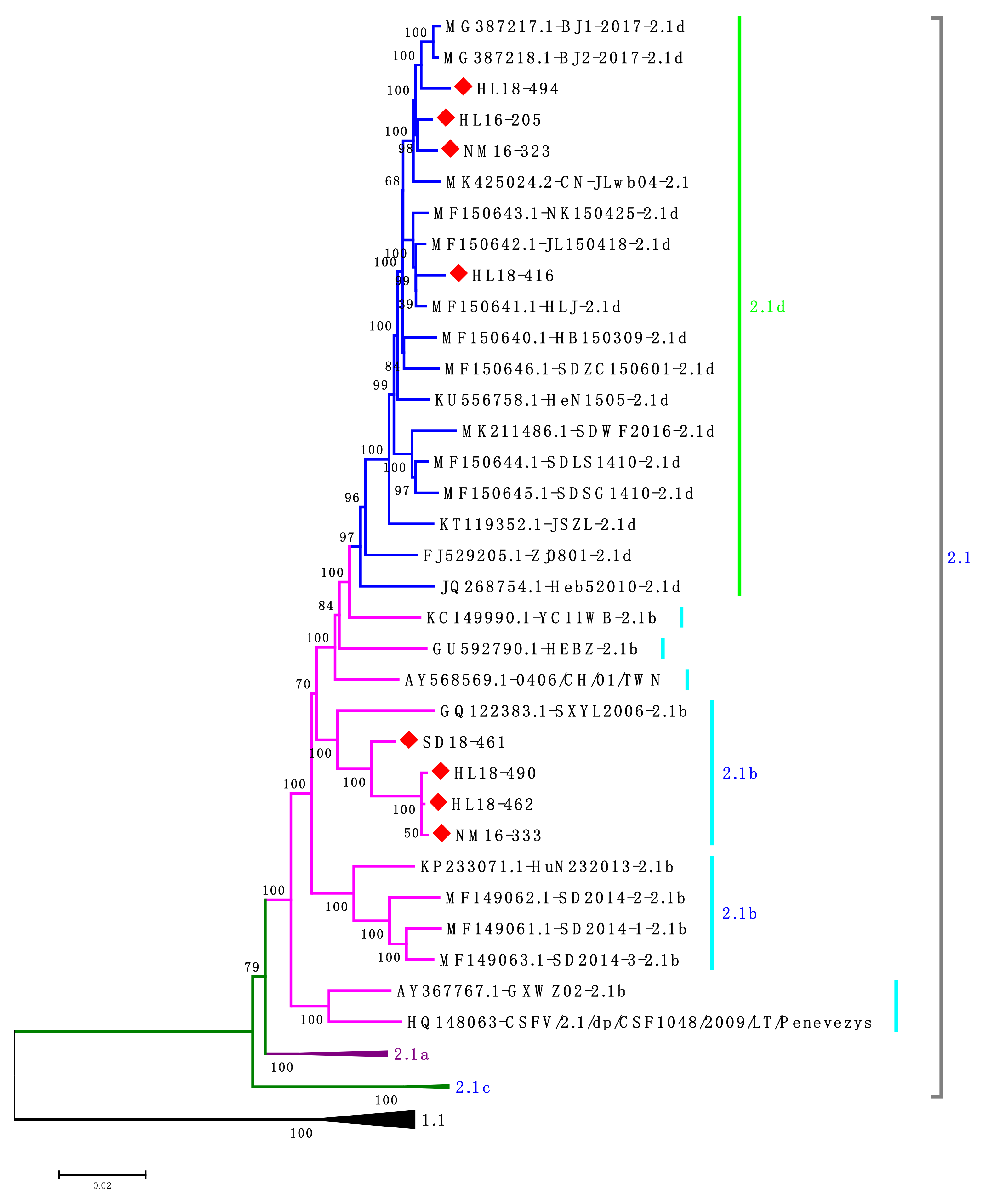 Viruses 13 00664 g003