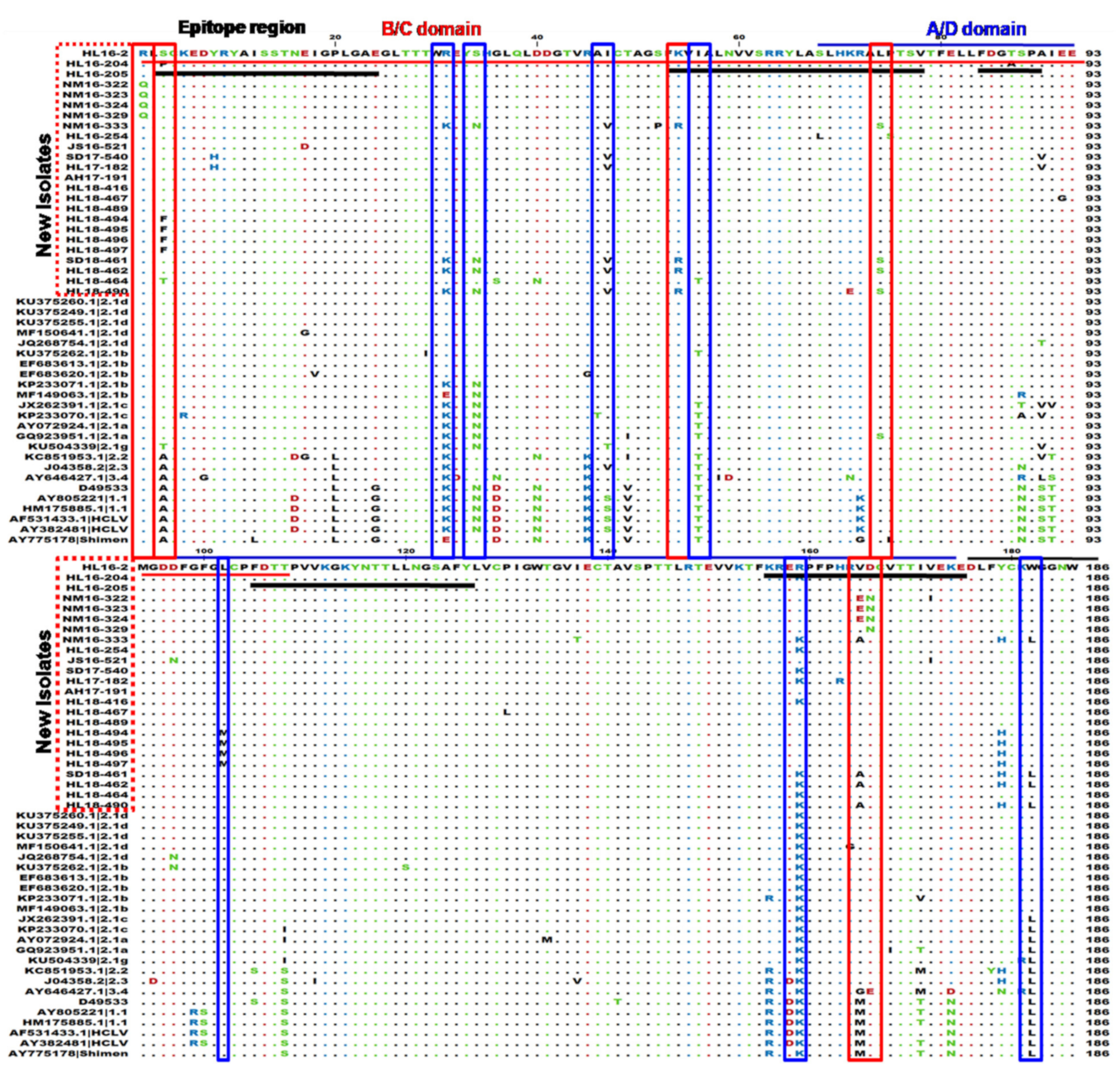 Viruses 13 00664 g004a