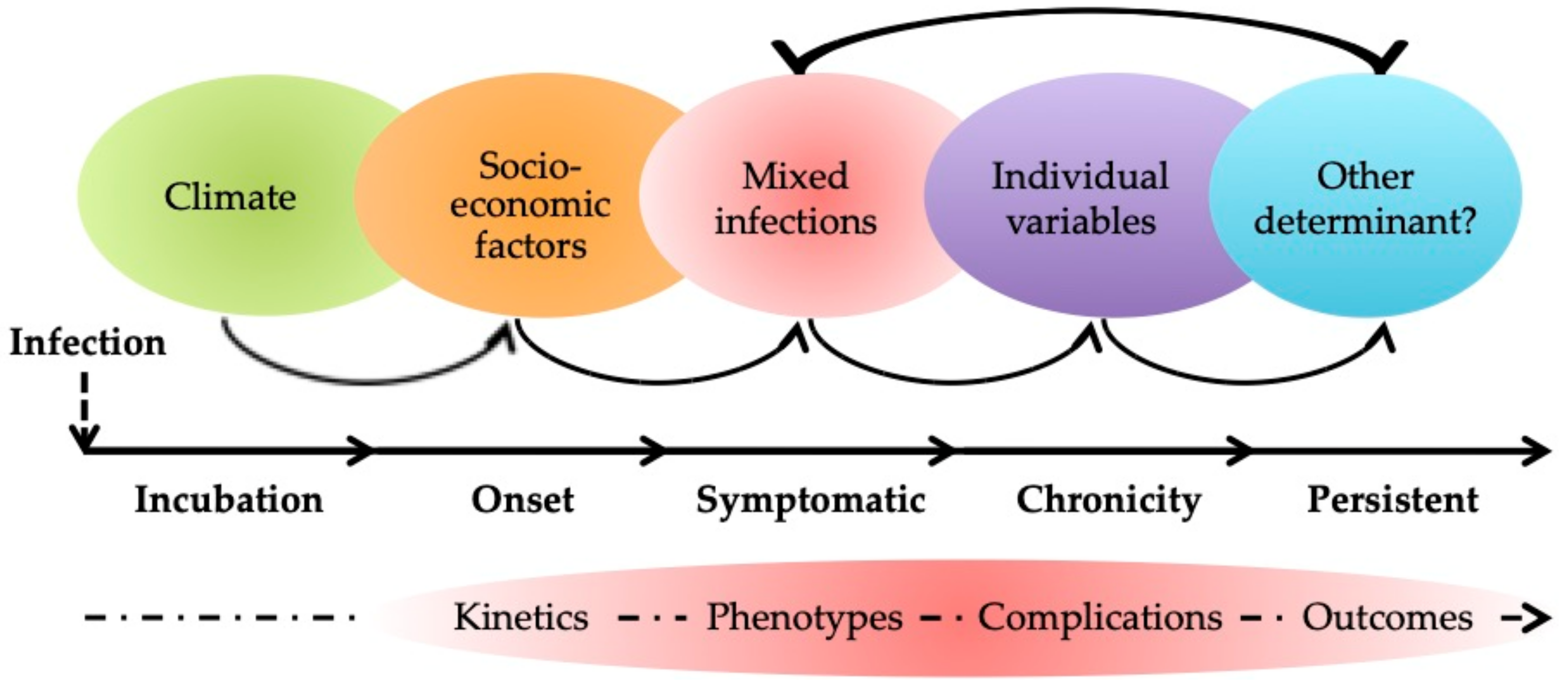 Viruses 13 00669 g002