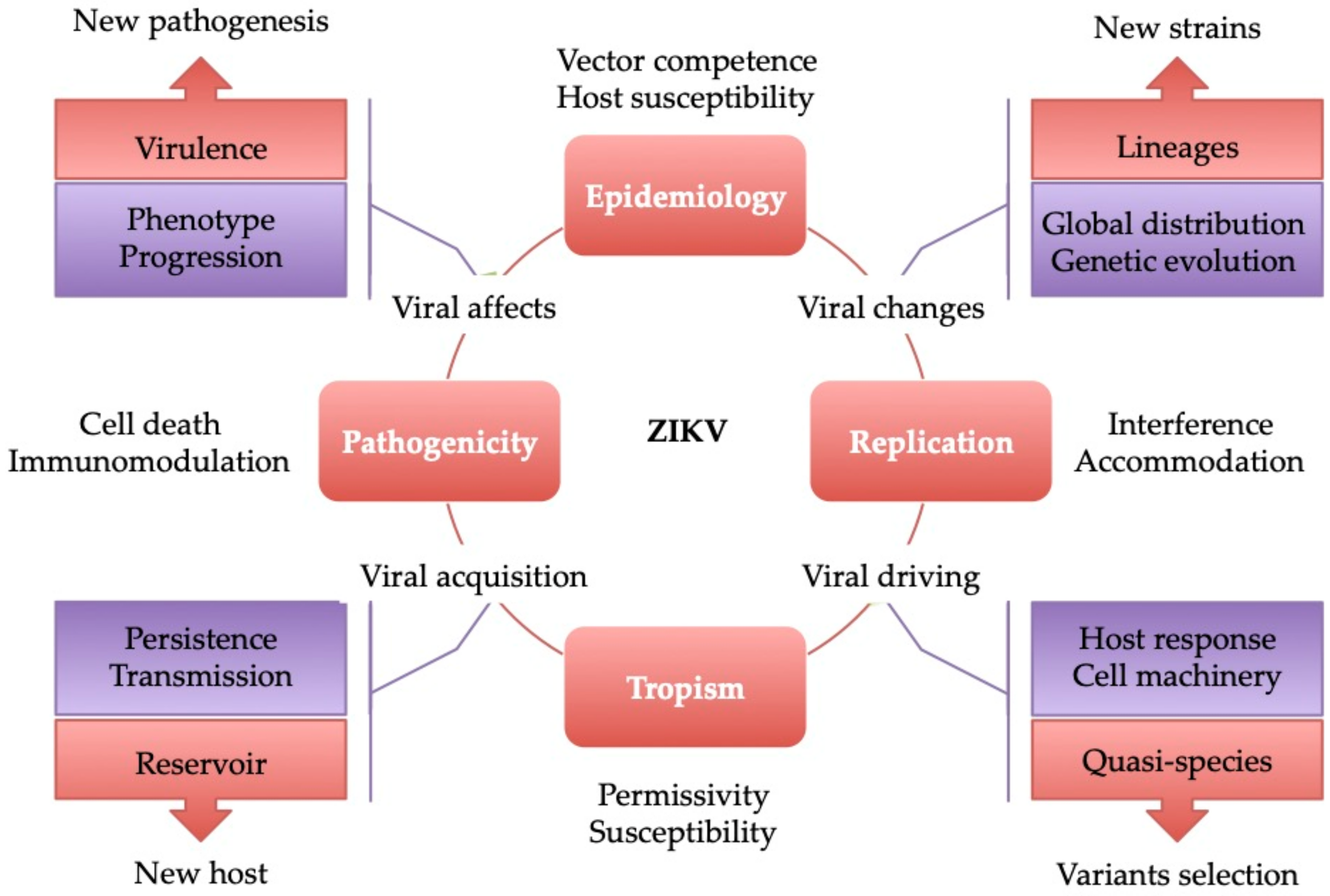 Viruses 13 00669 g004