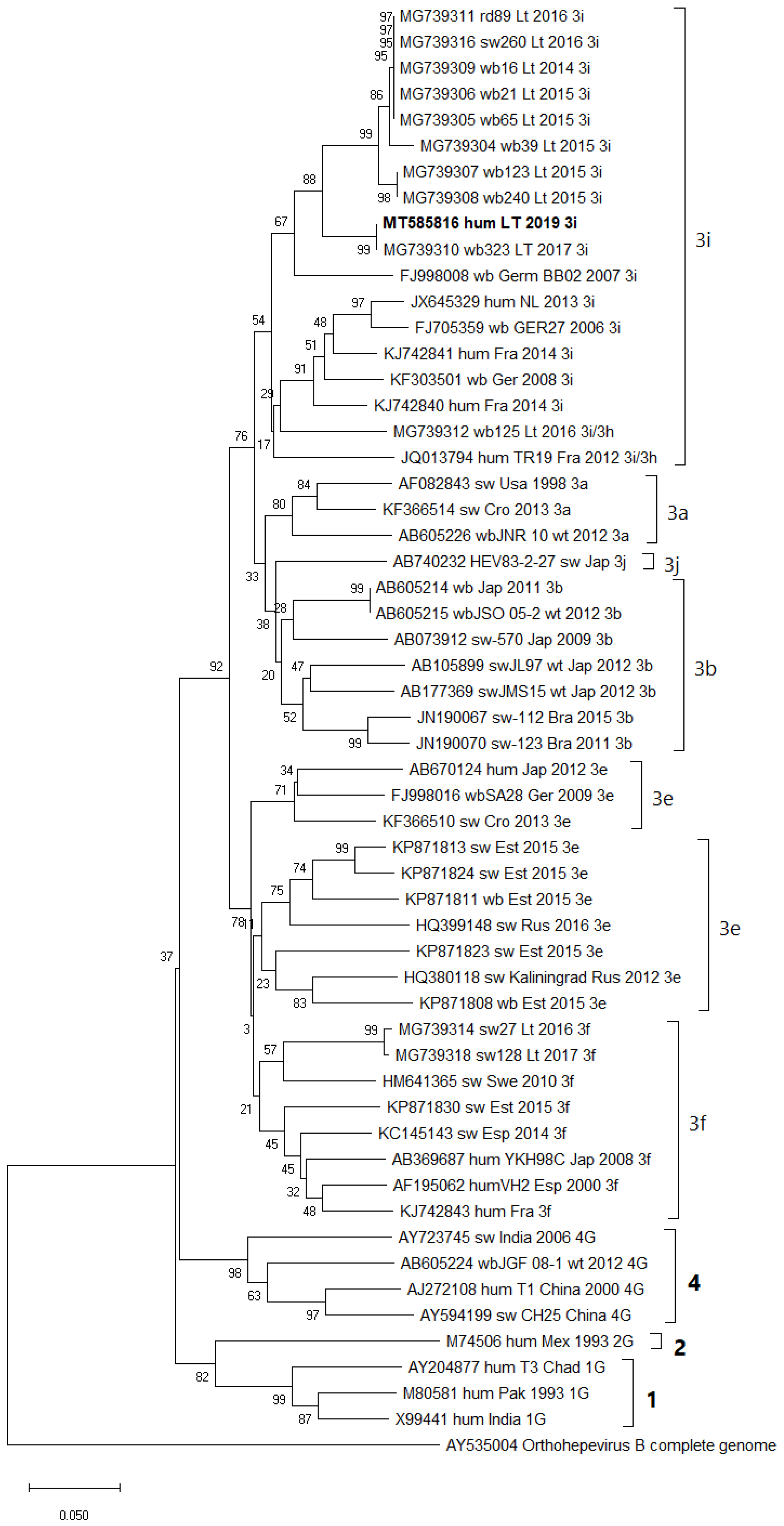 Viruses 13 00670 g002