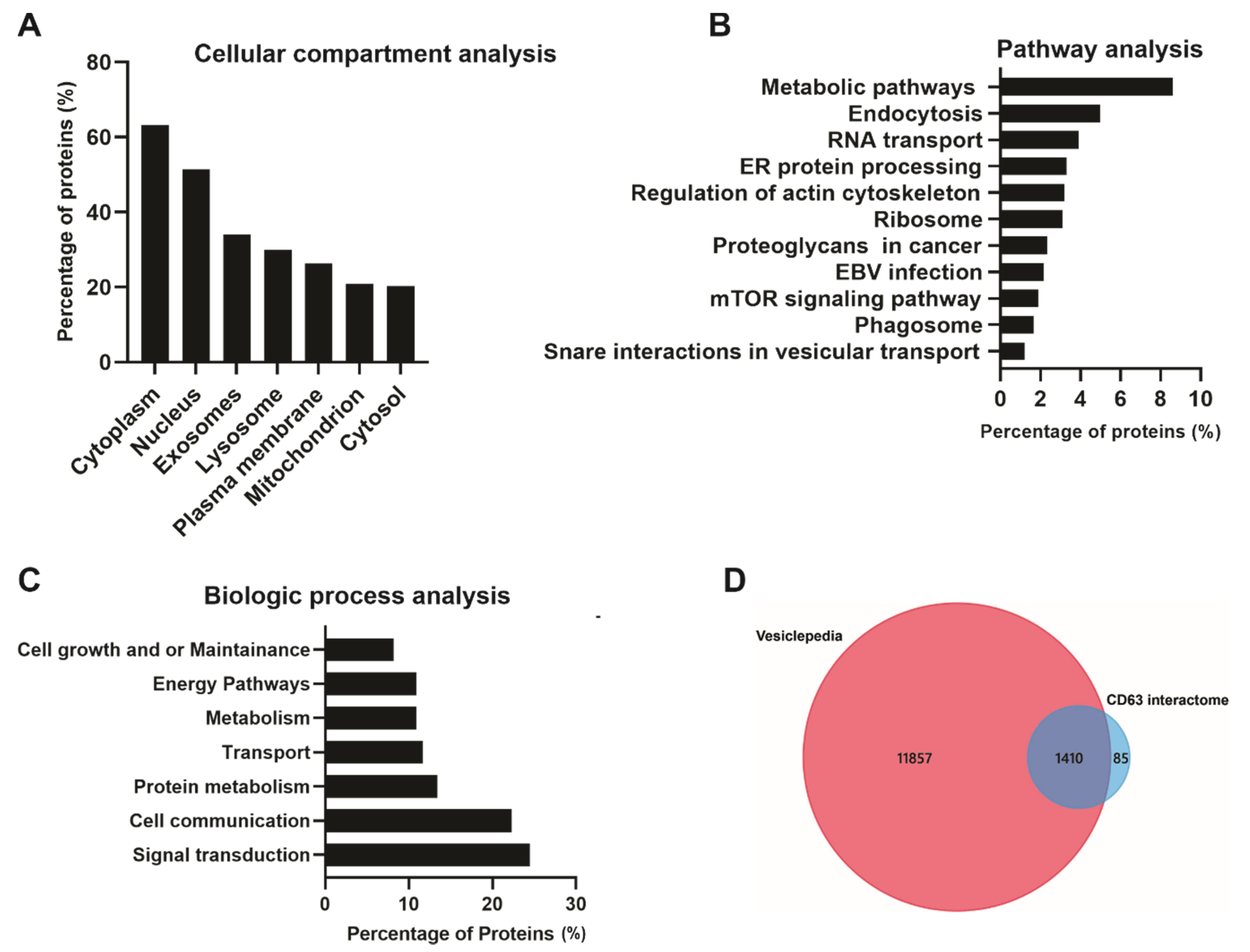 Viruses 13 00675 g004