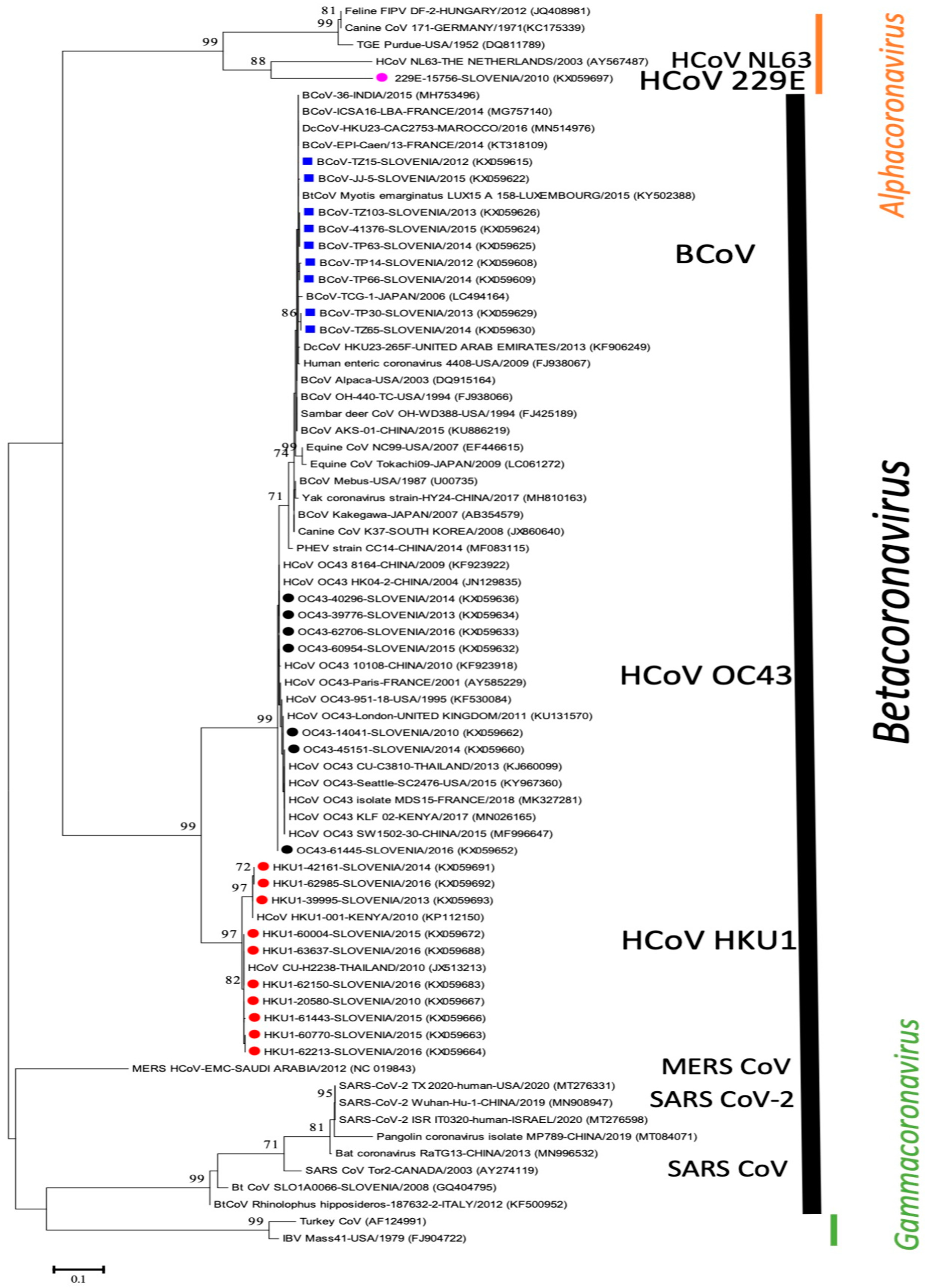Viruses 13 00676 g001