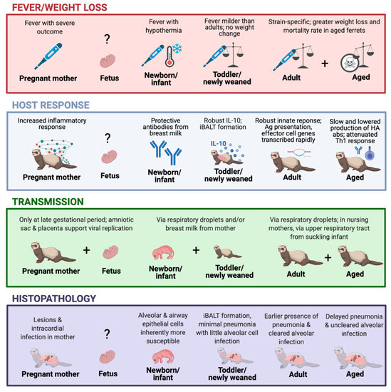 Viruses 13 00678 g001