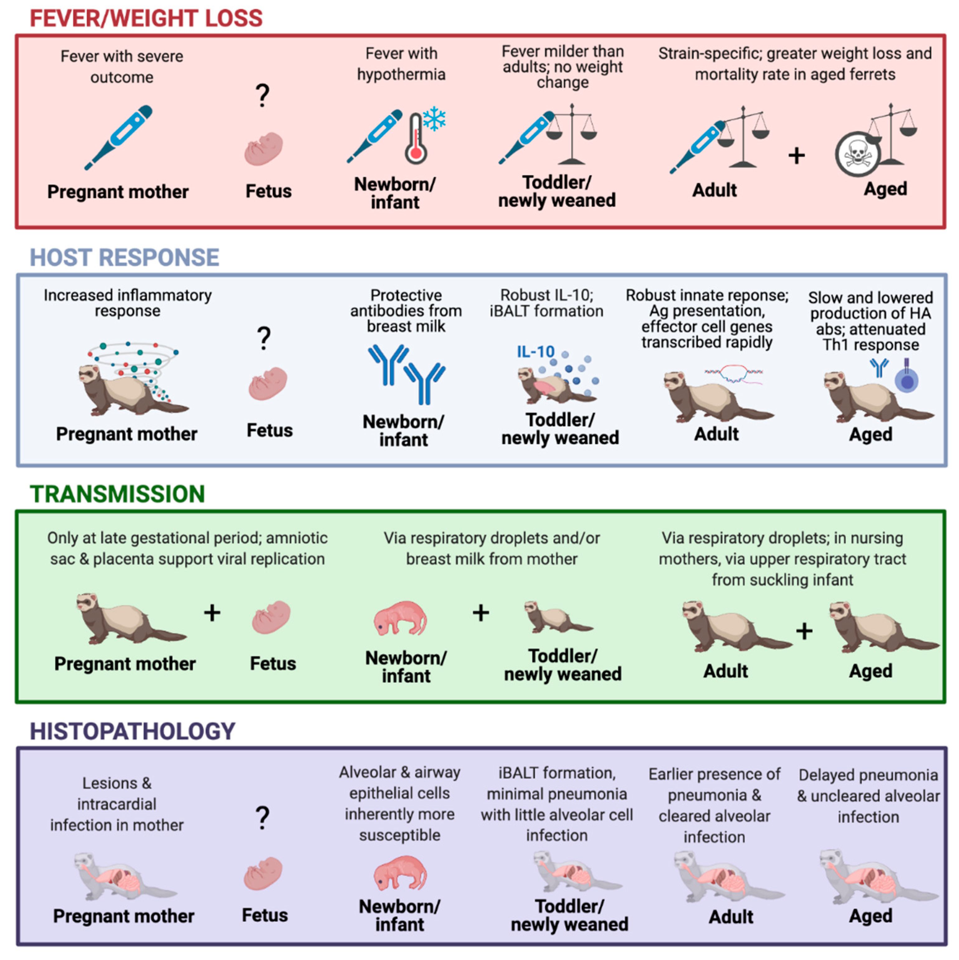 Viruses 13 00678 g001