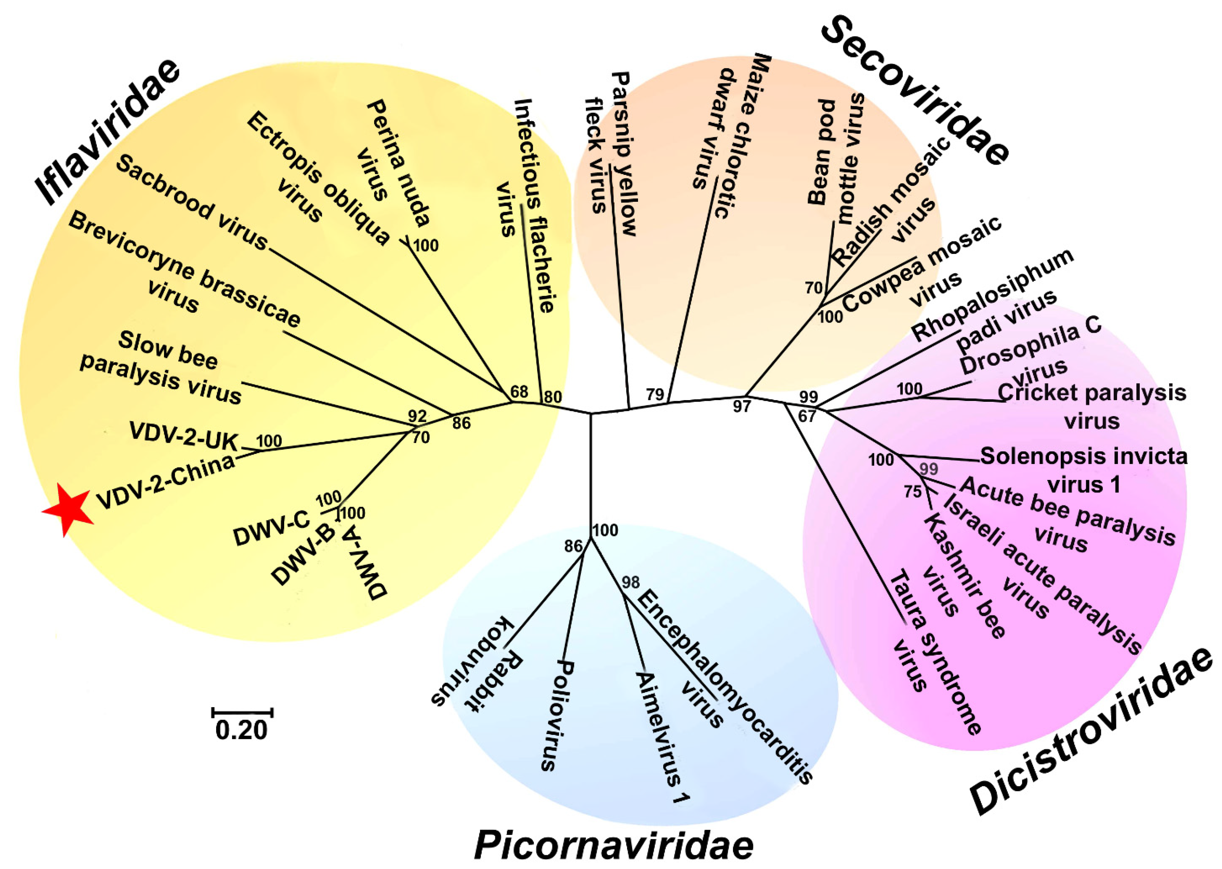 Viruses 13 00679 g002 Viruses 13 00679 g002