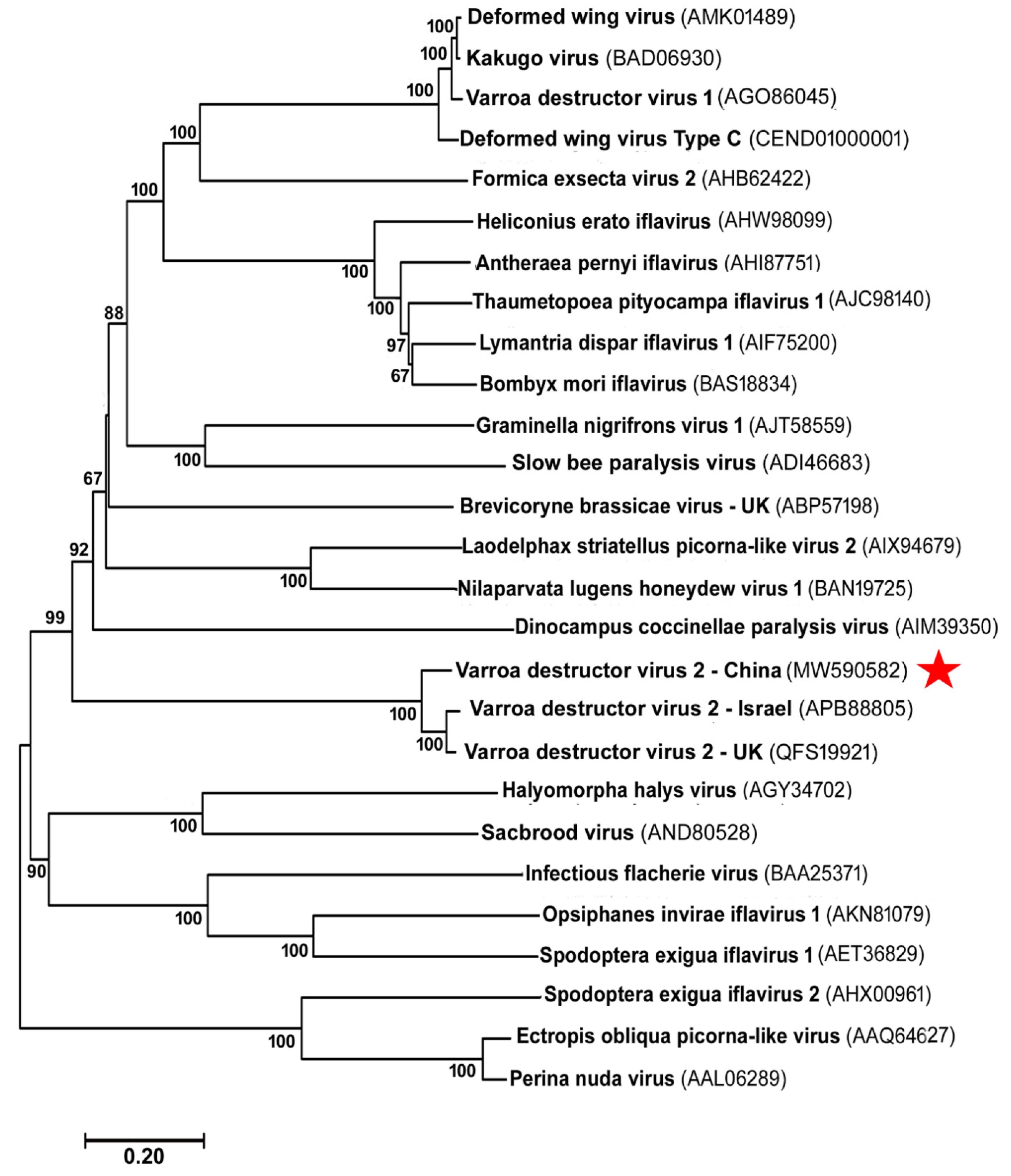 Viruses 13 00679 g003 Viruses 13 00679 g003