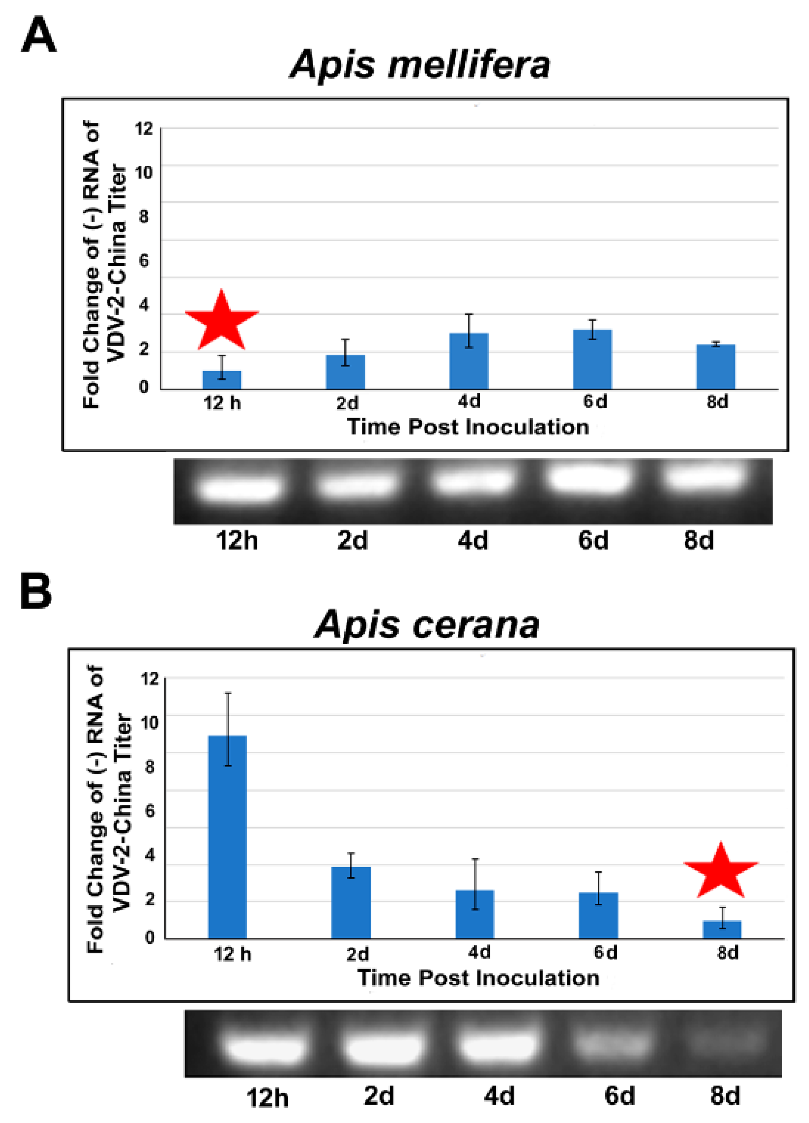 Viruses 13 00679 g005 Viruses 13 00679 g005