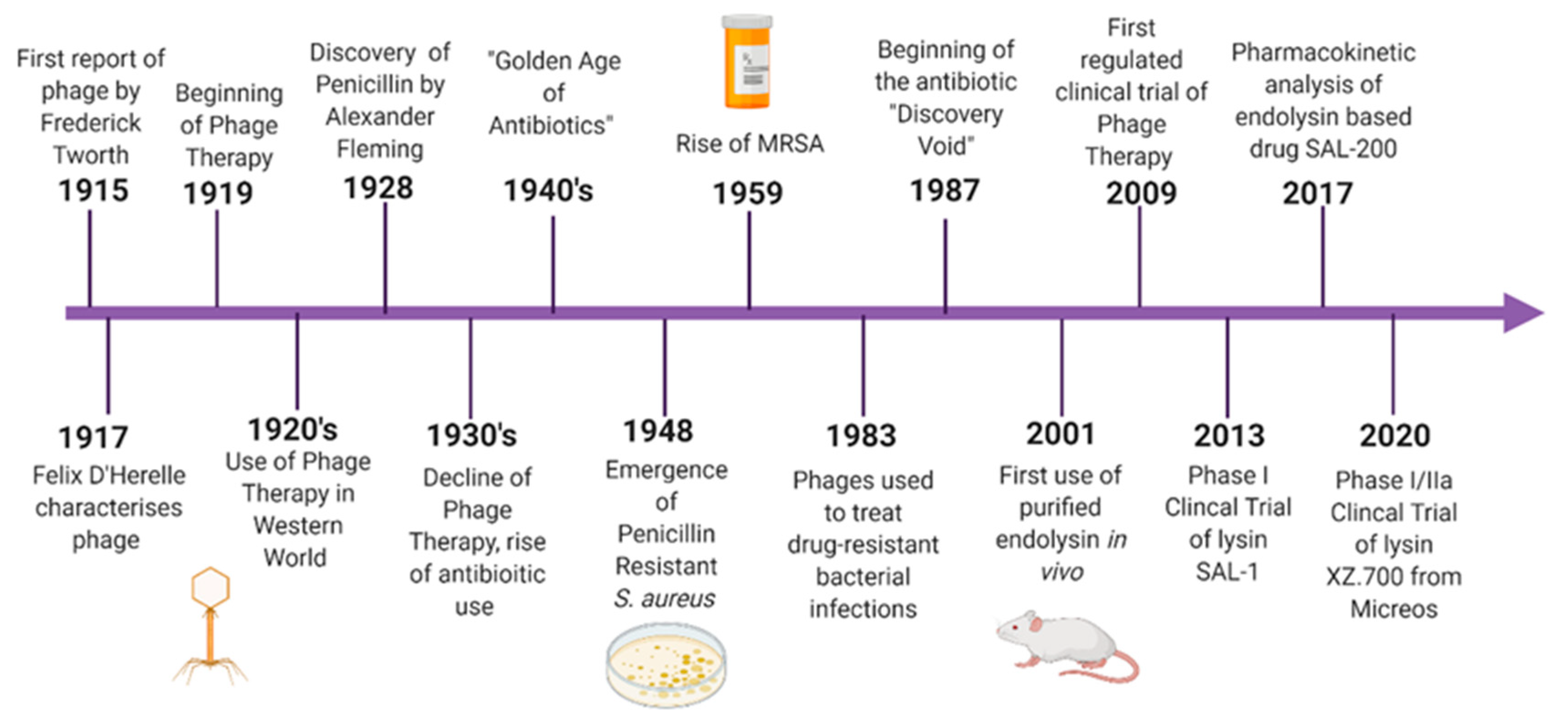 Viruses 13 00680 g001