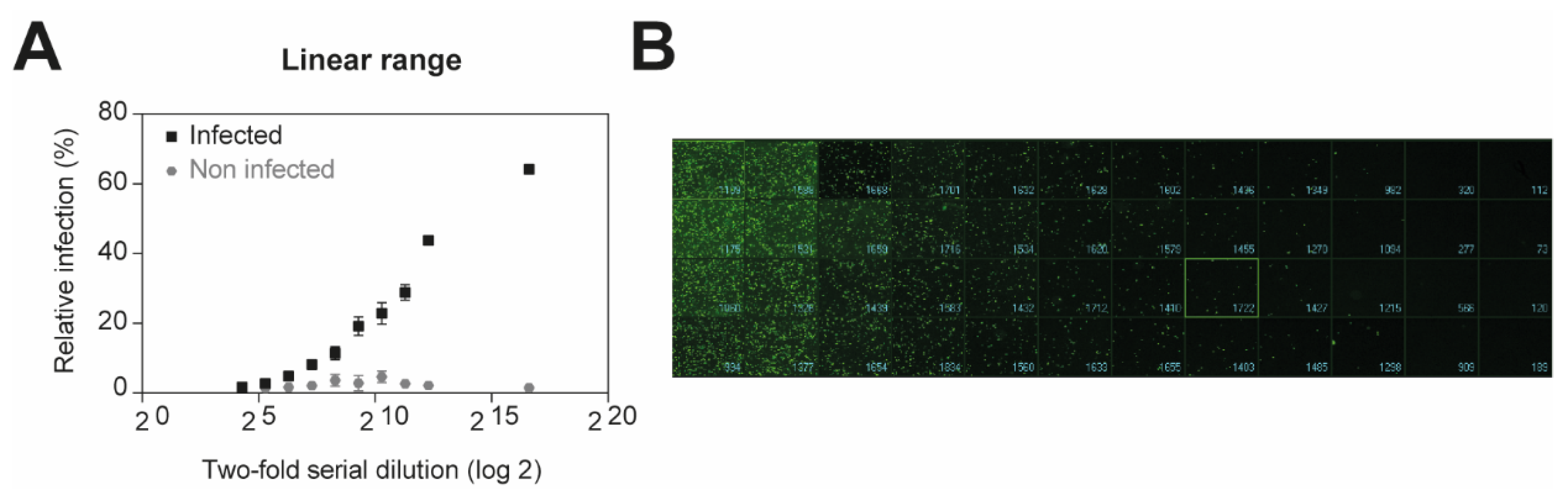 Viruses 13 00685 g001