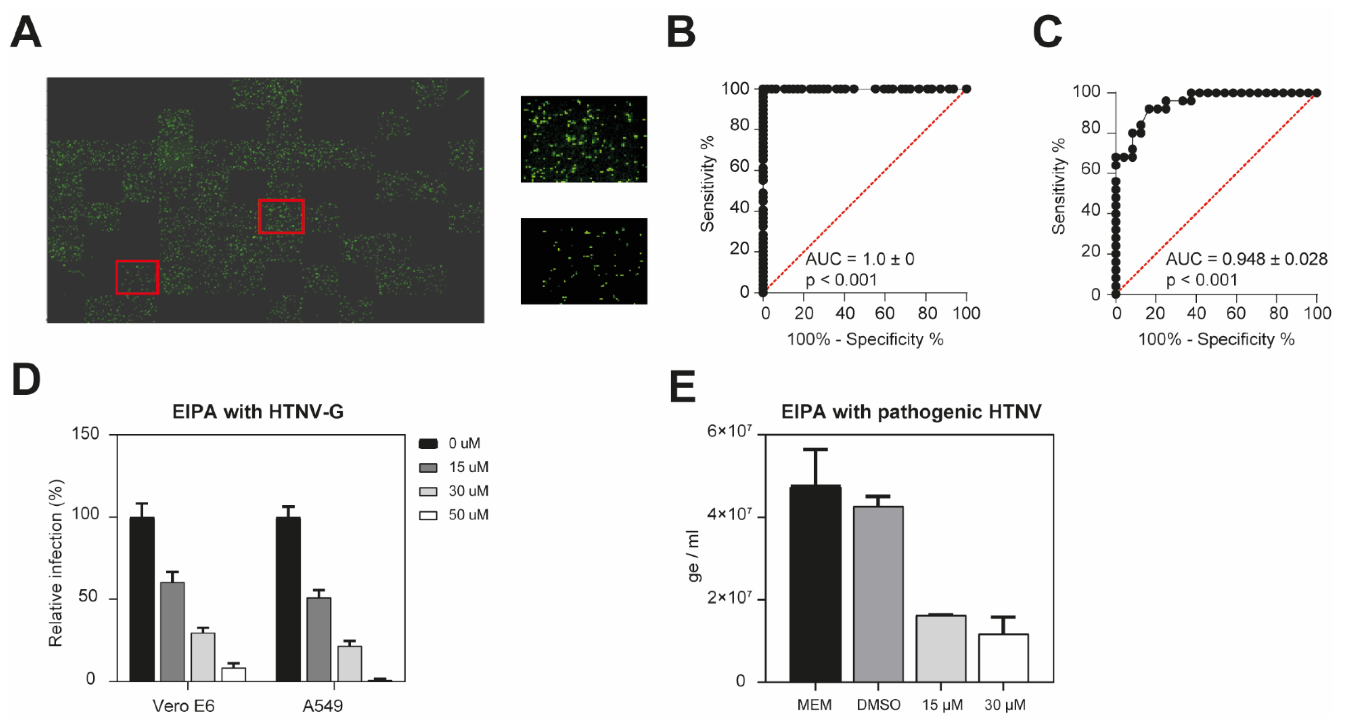 Viruses 13 00685 g002