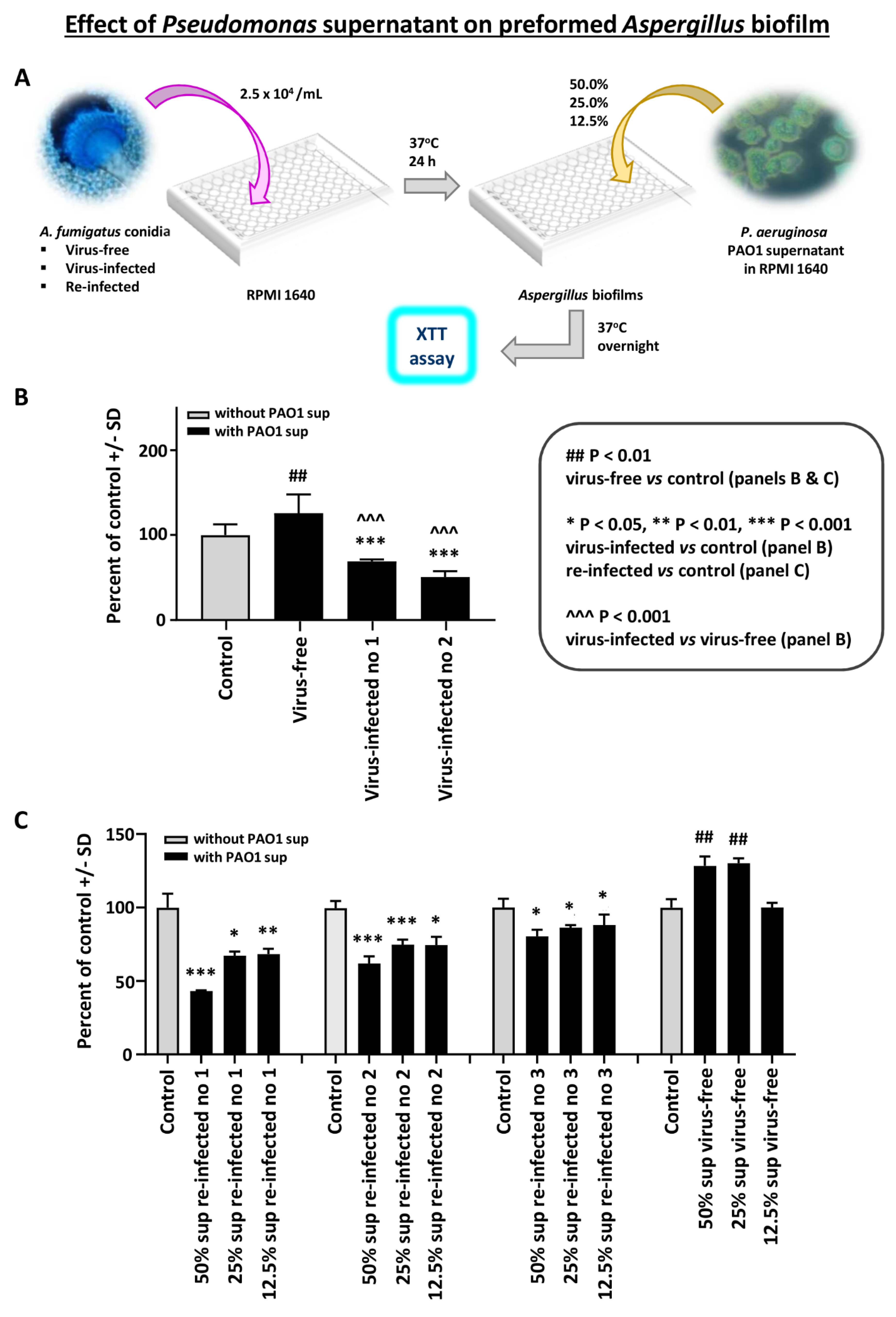 Viruses 13 00686 g001