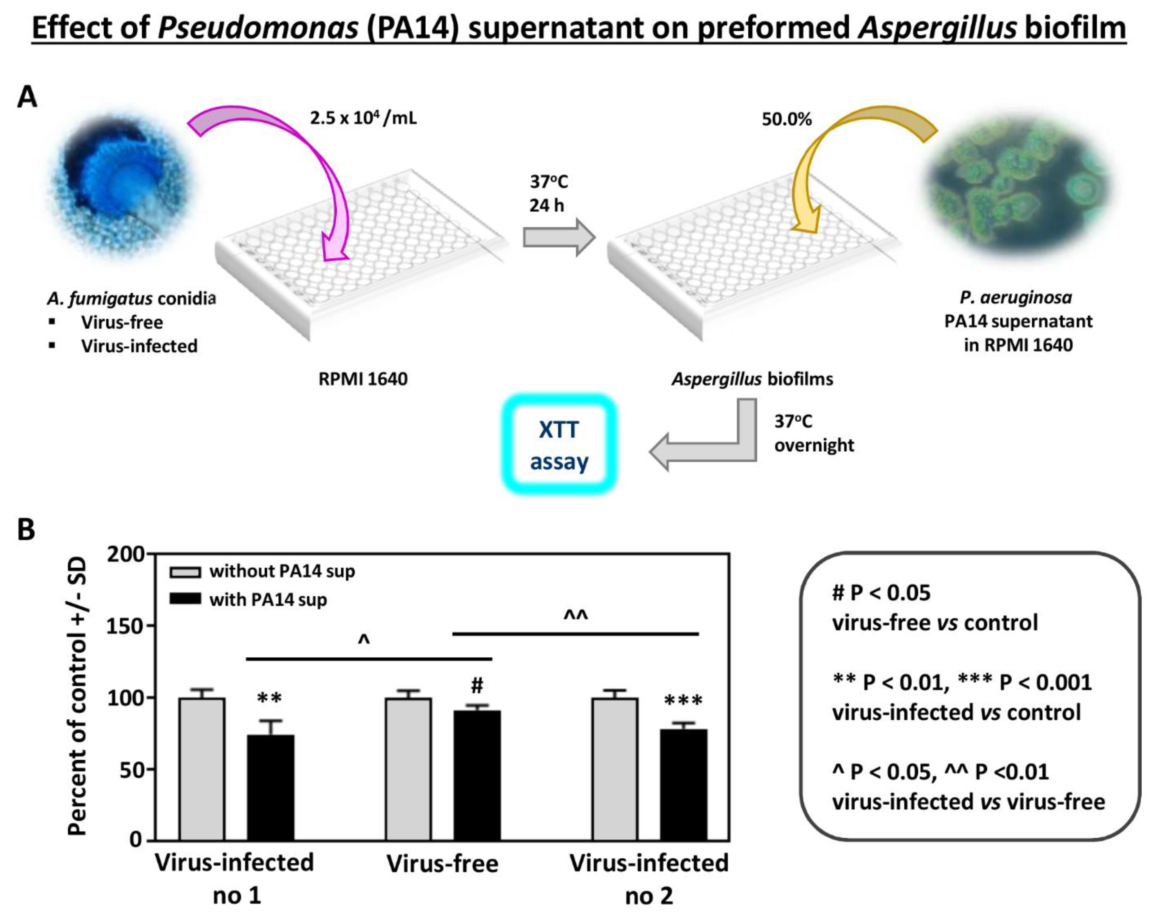 Viruses 13 00686 g002
