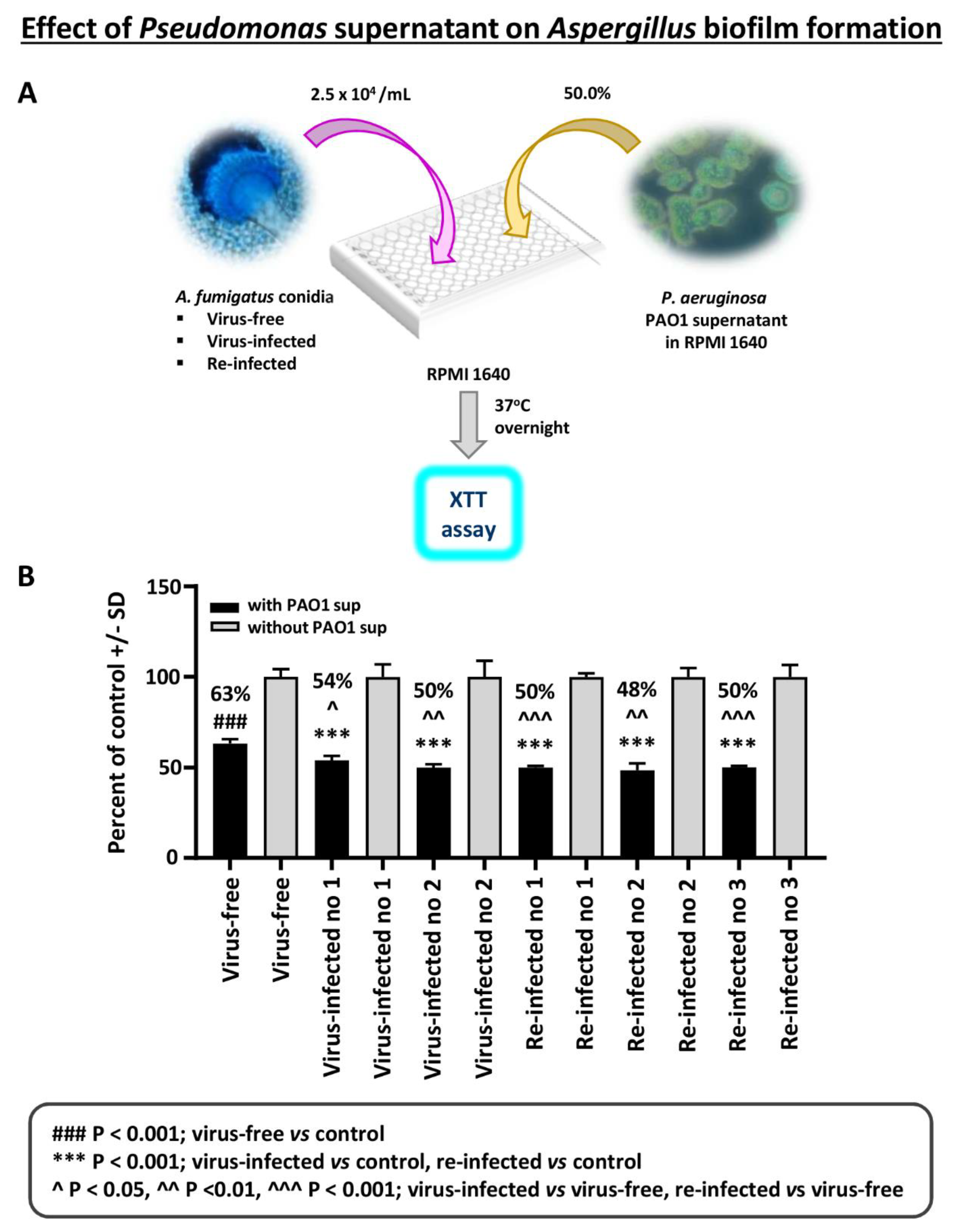 Viruses 13 00686 g003