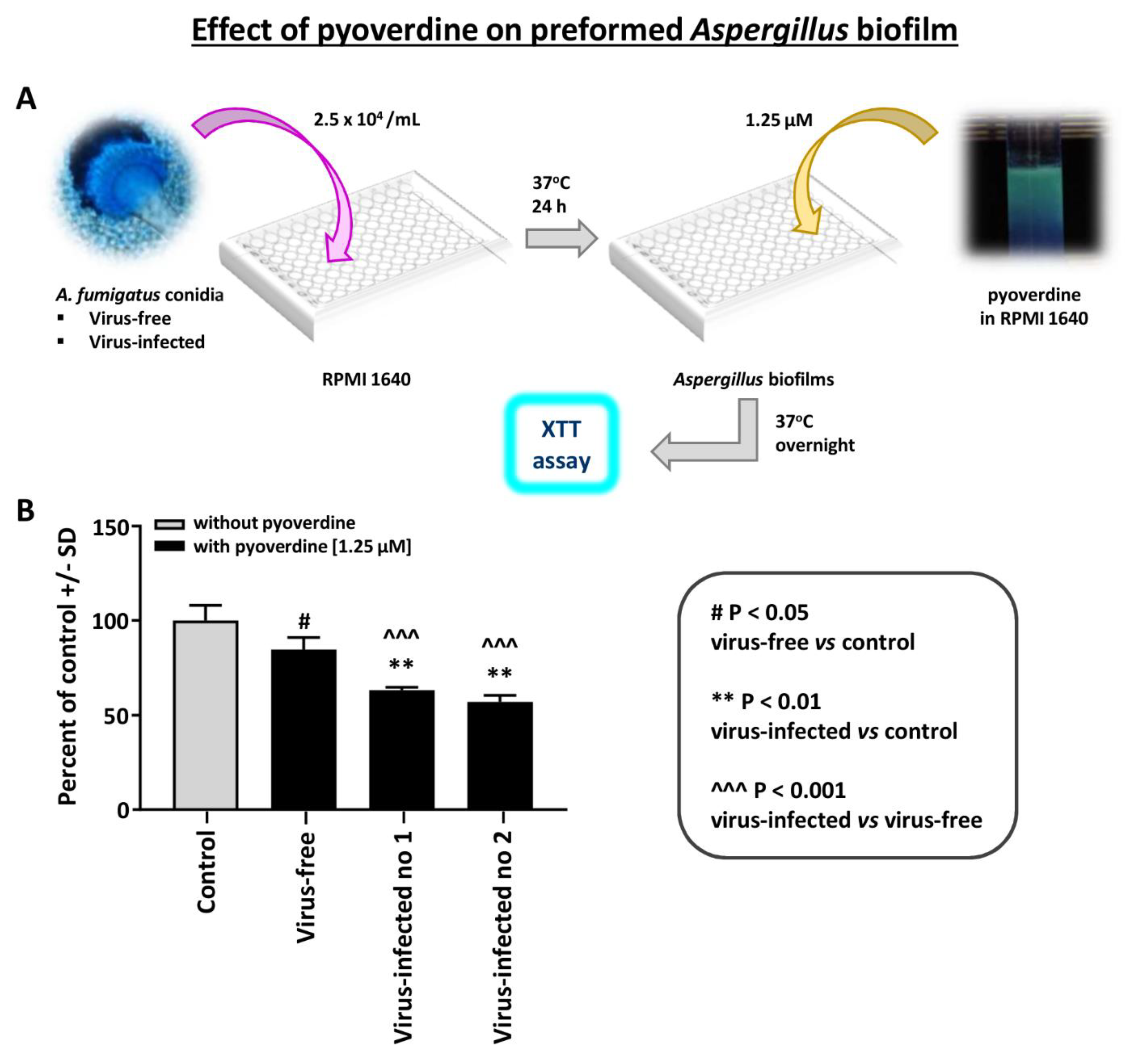 Viruses 13 00686 g004