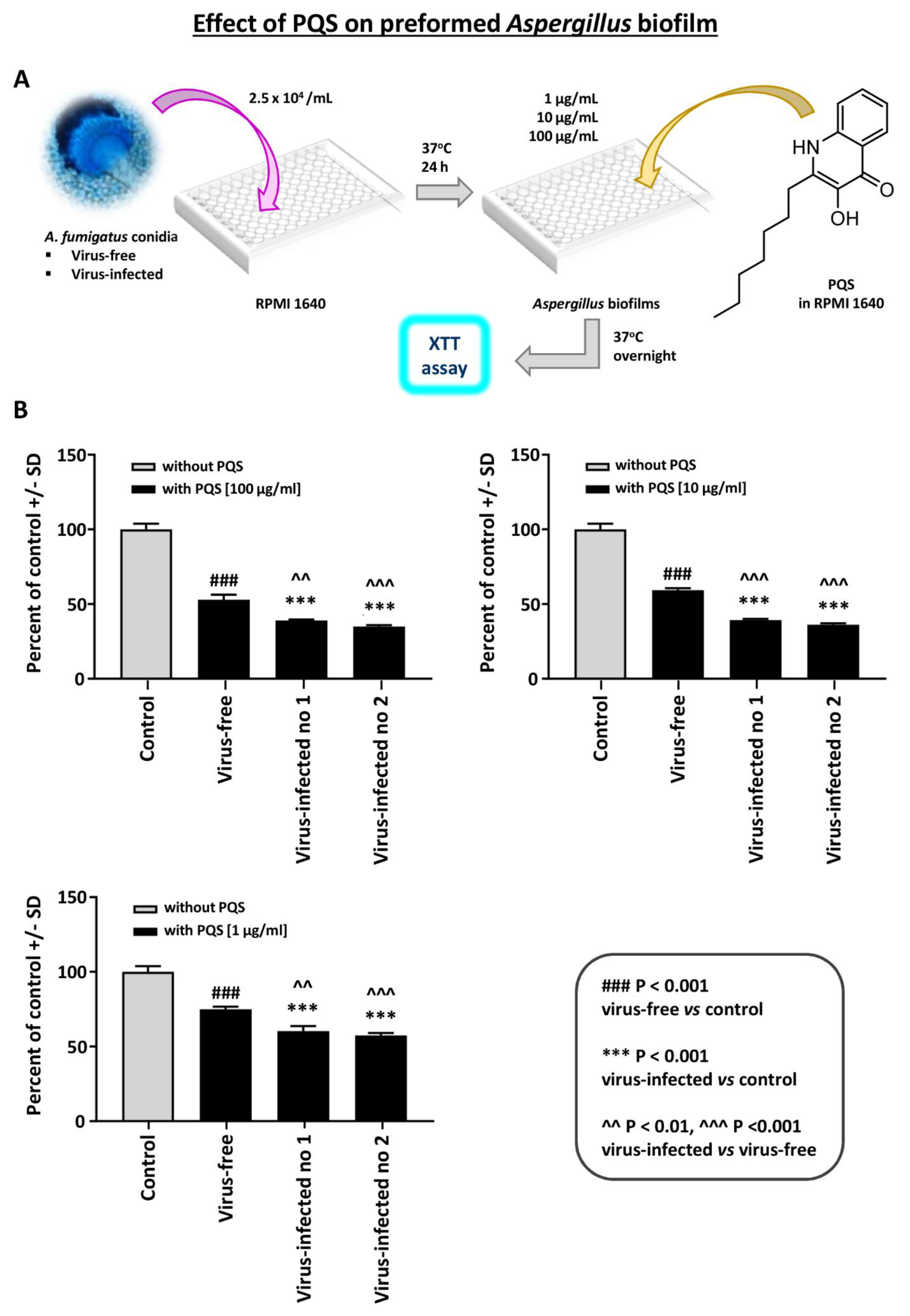 Viruses 13 00686 g005