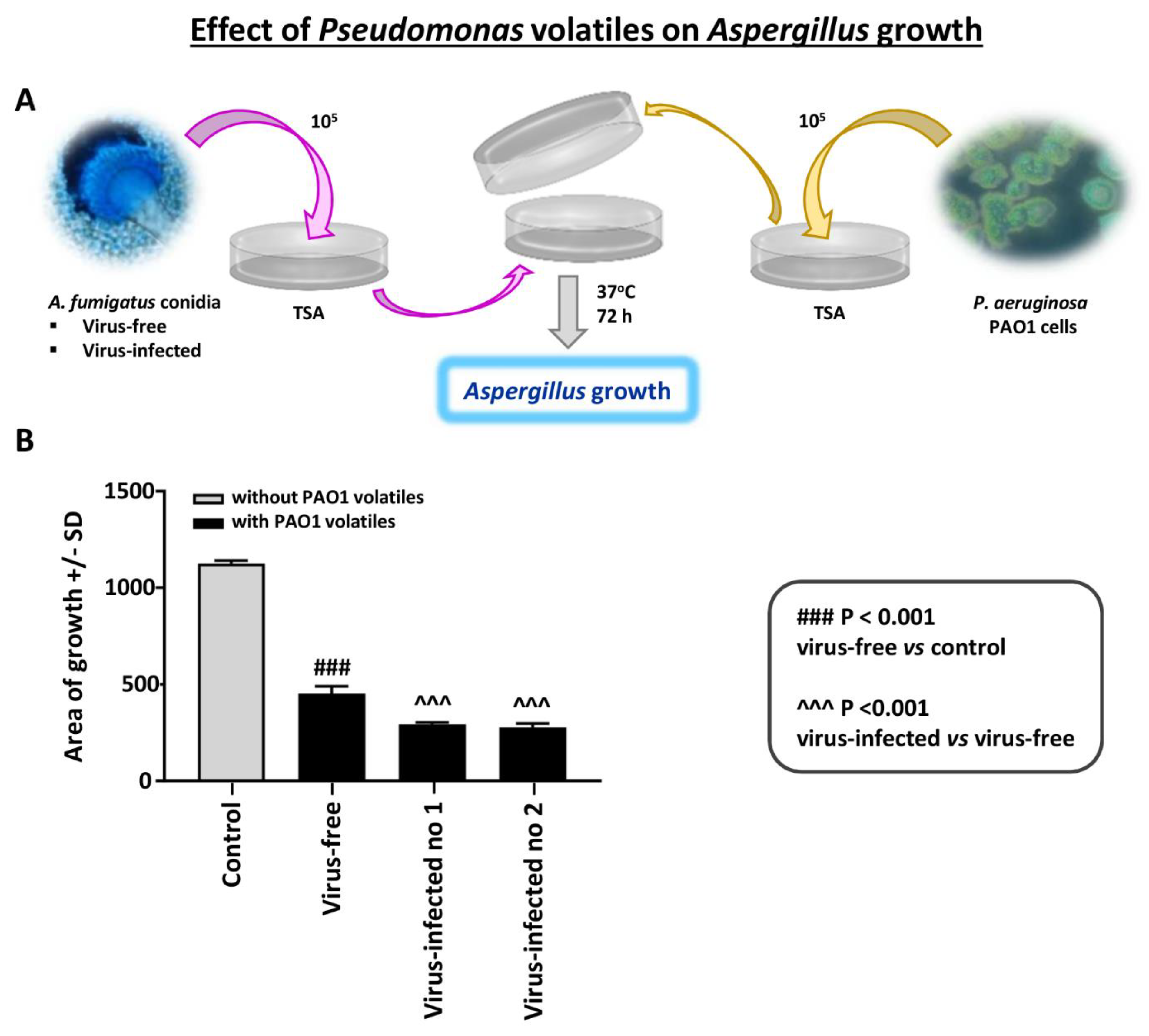 Viruses 13 00686 g006