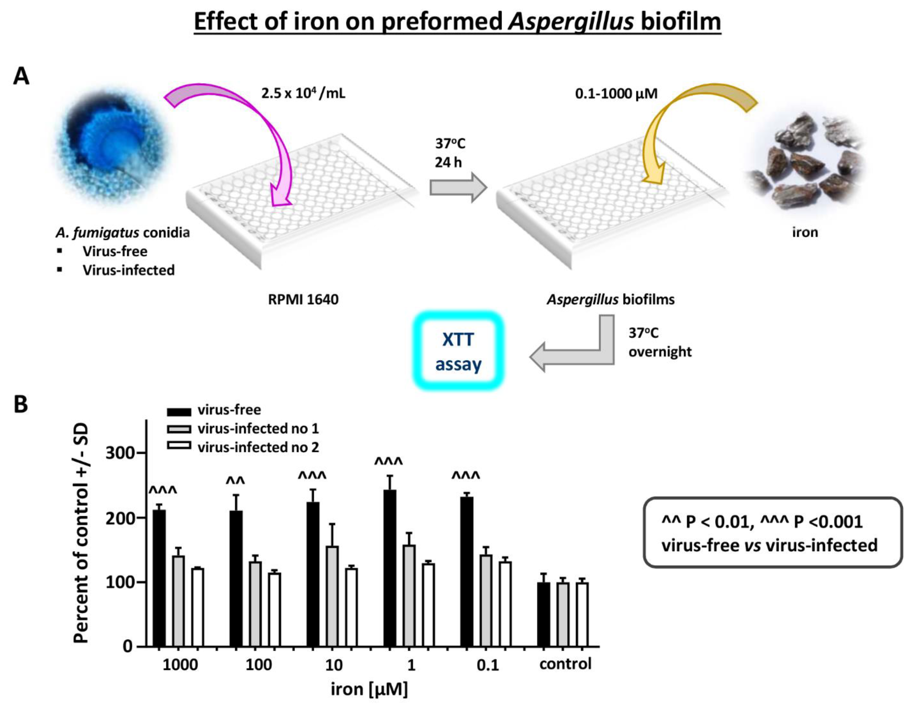 Viruses 13 00686 g007