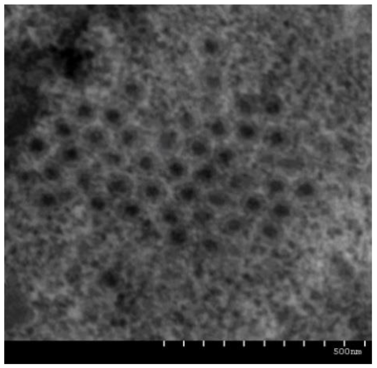 Viruses 13 00690 g002