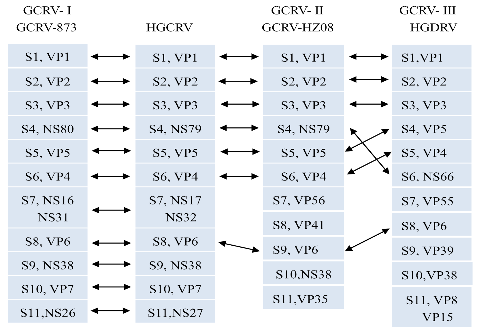 Viruses 13 00690 g004