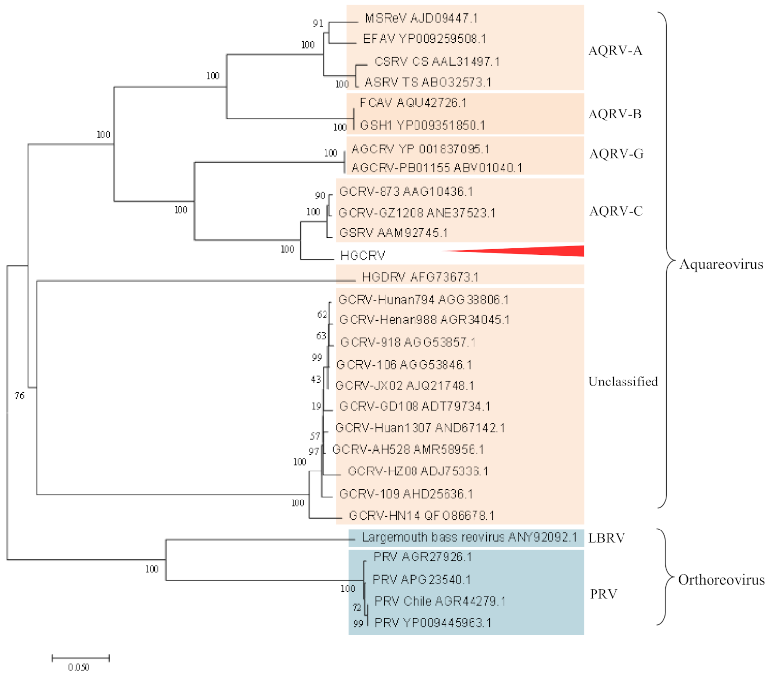 Viruses 13 00690 g005