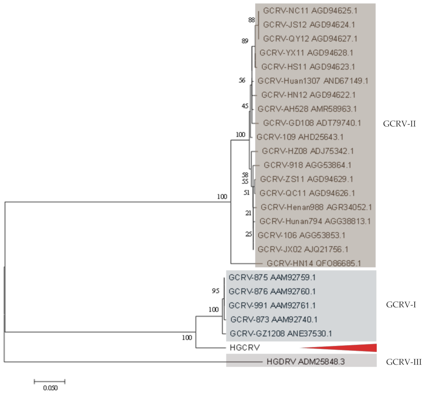 Viruses 13 00690 g006