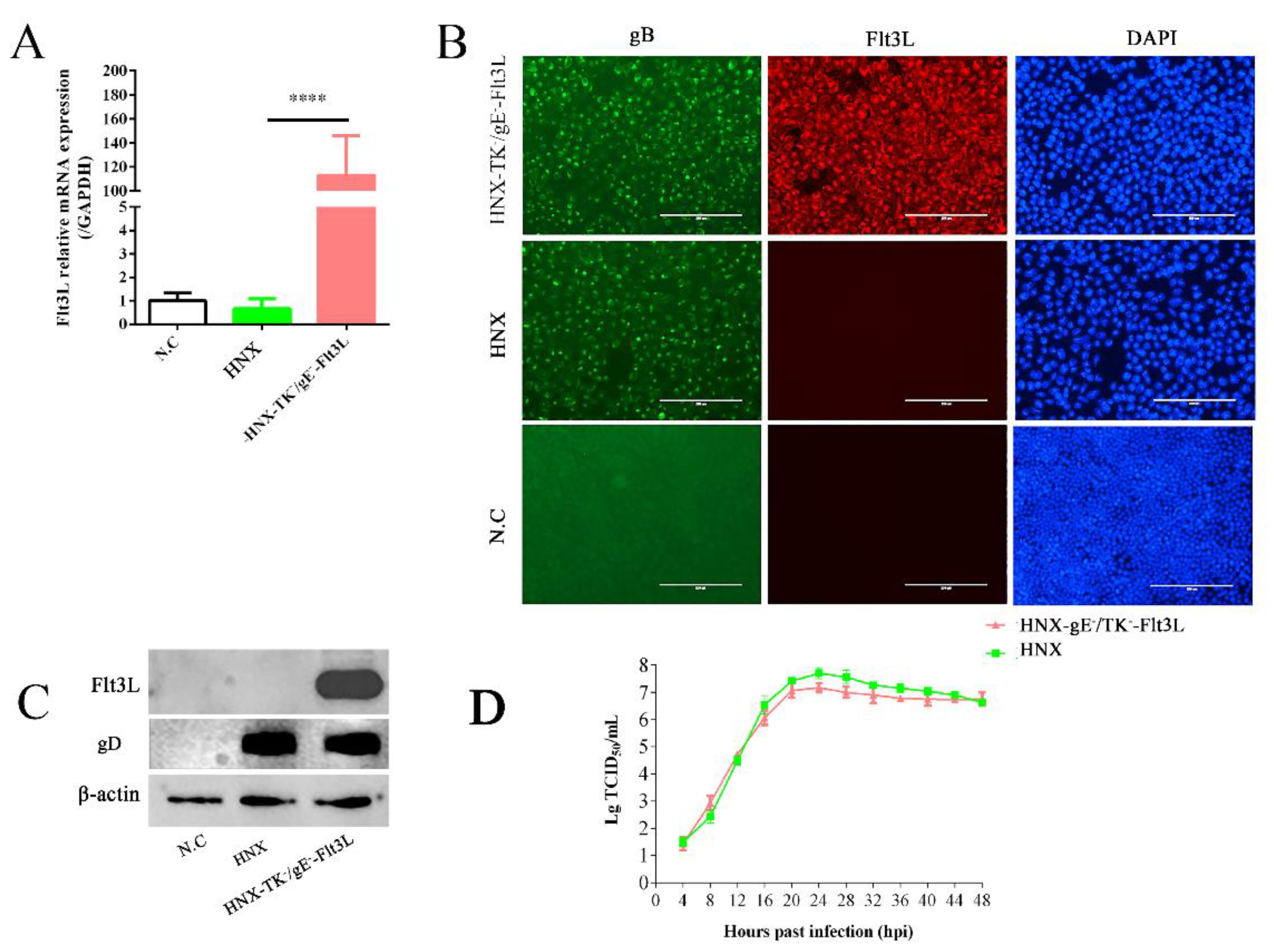 Viruses 13 00691 g003