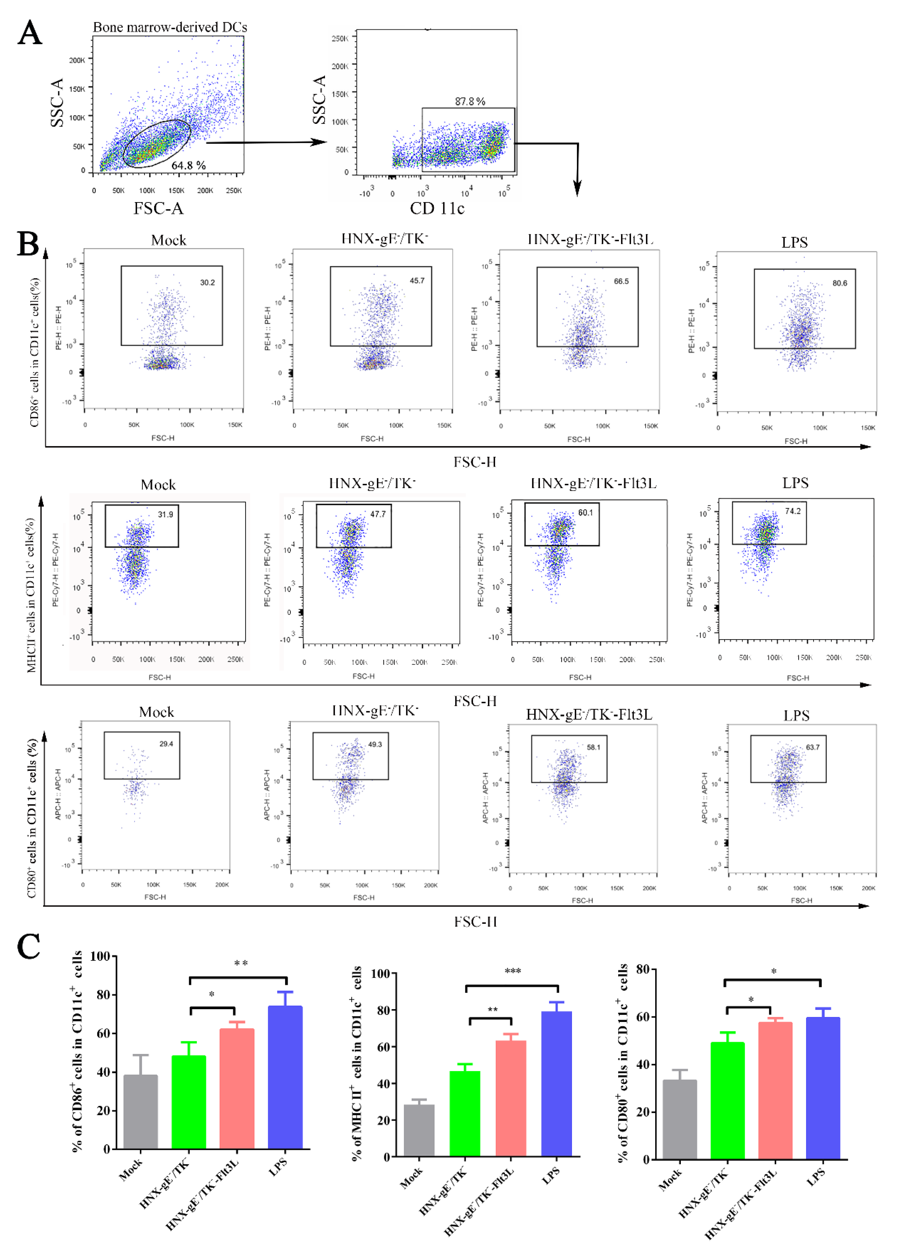 Viruses 13 00691 g004