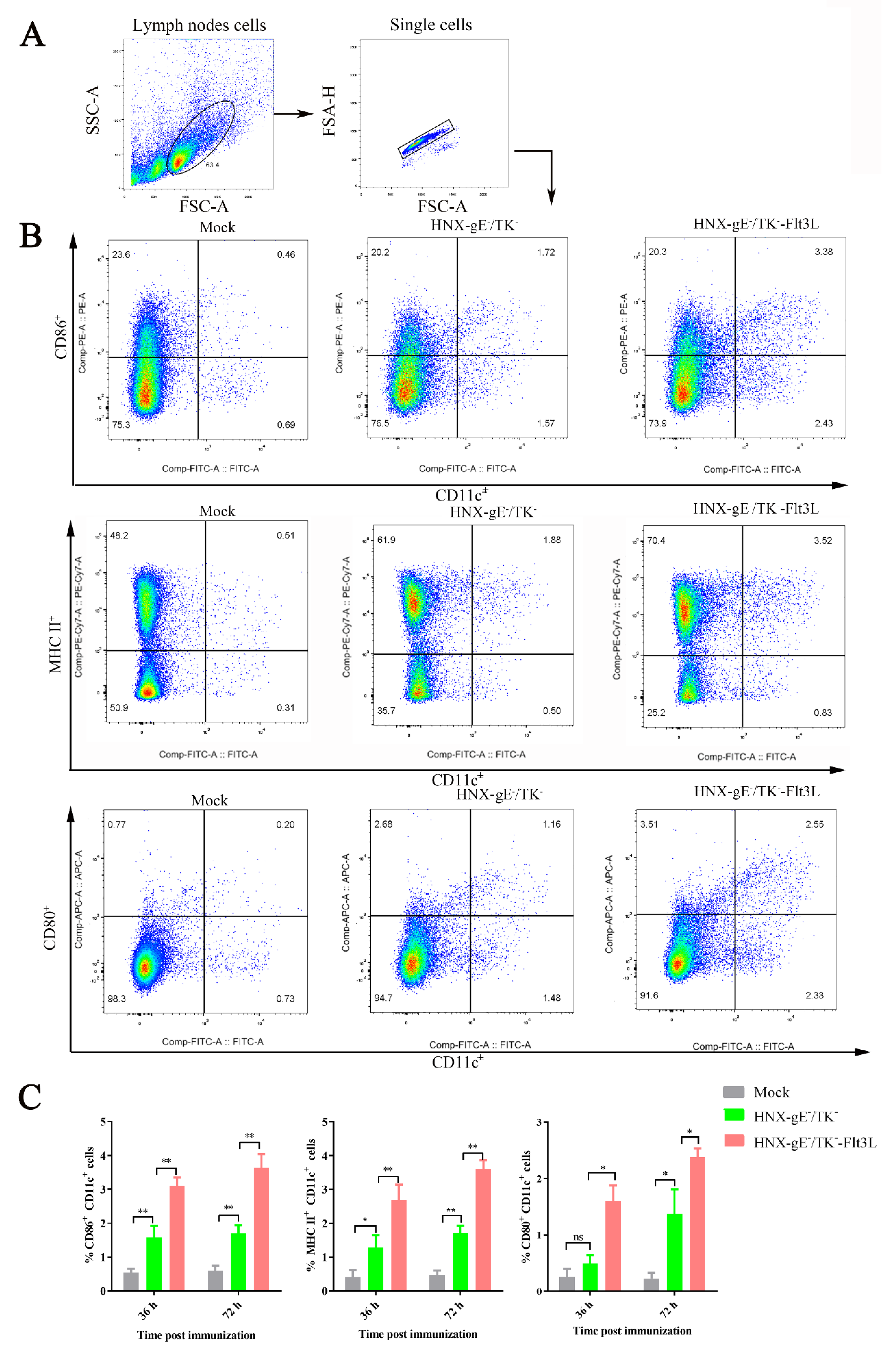 Viruses 13 00691 g005
