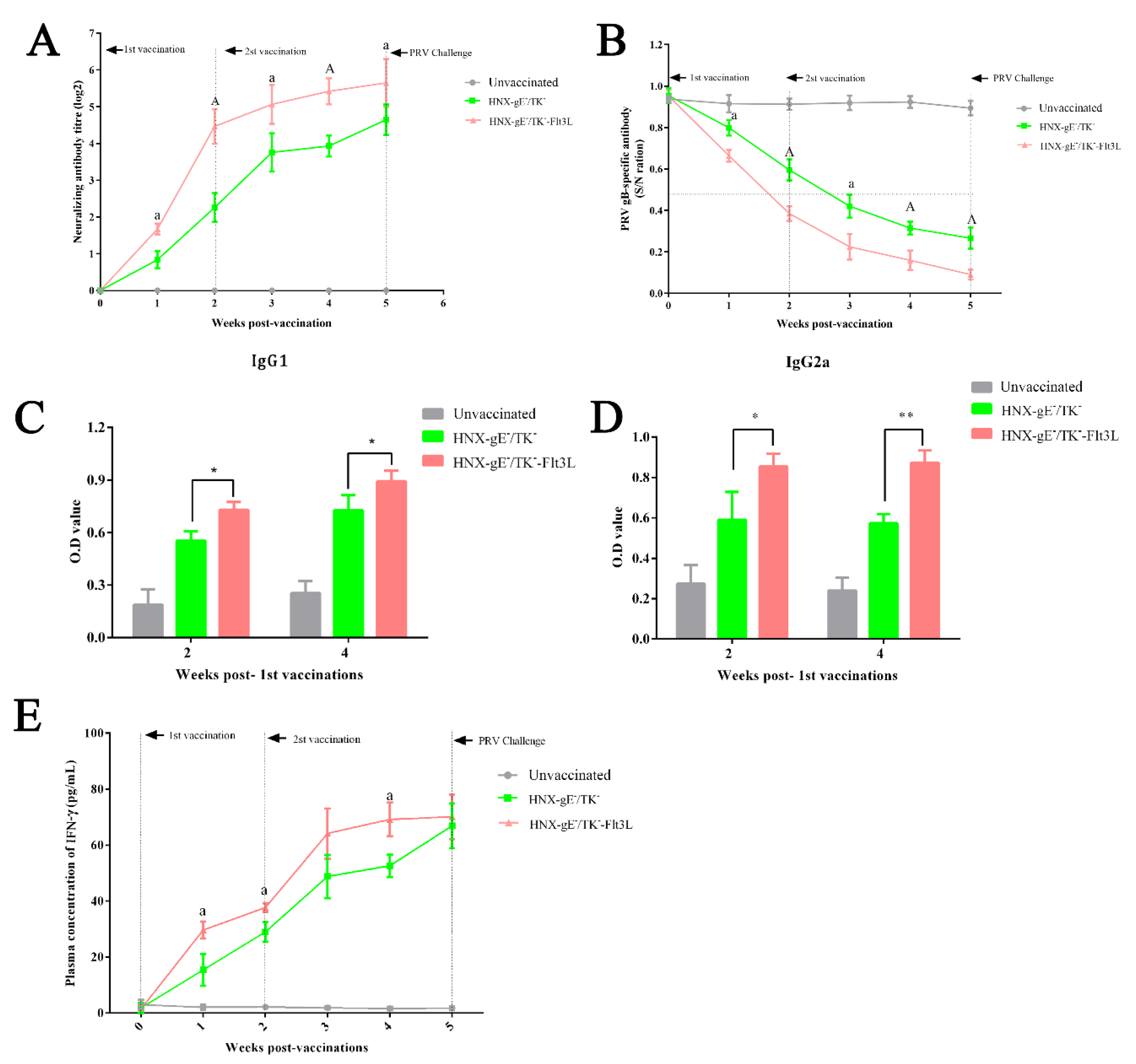 Viruses 13 00691 g006